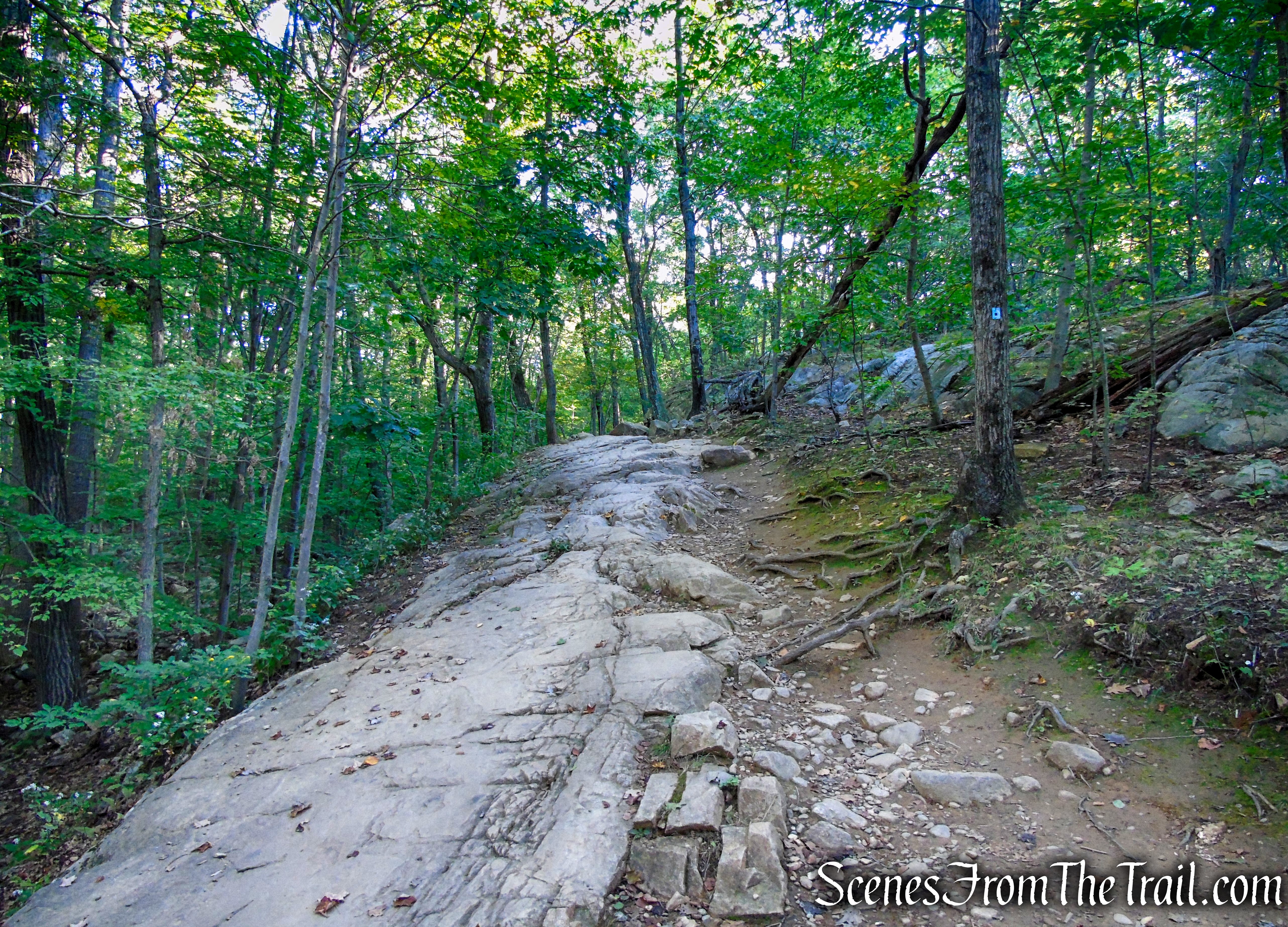 Ramapo Lake Spur – Ramapo Mountain State Forest