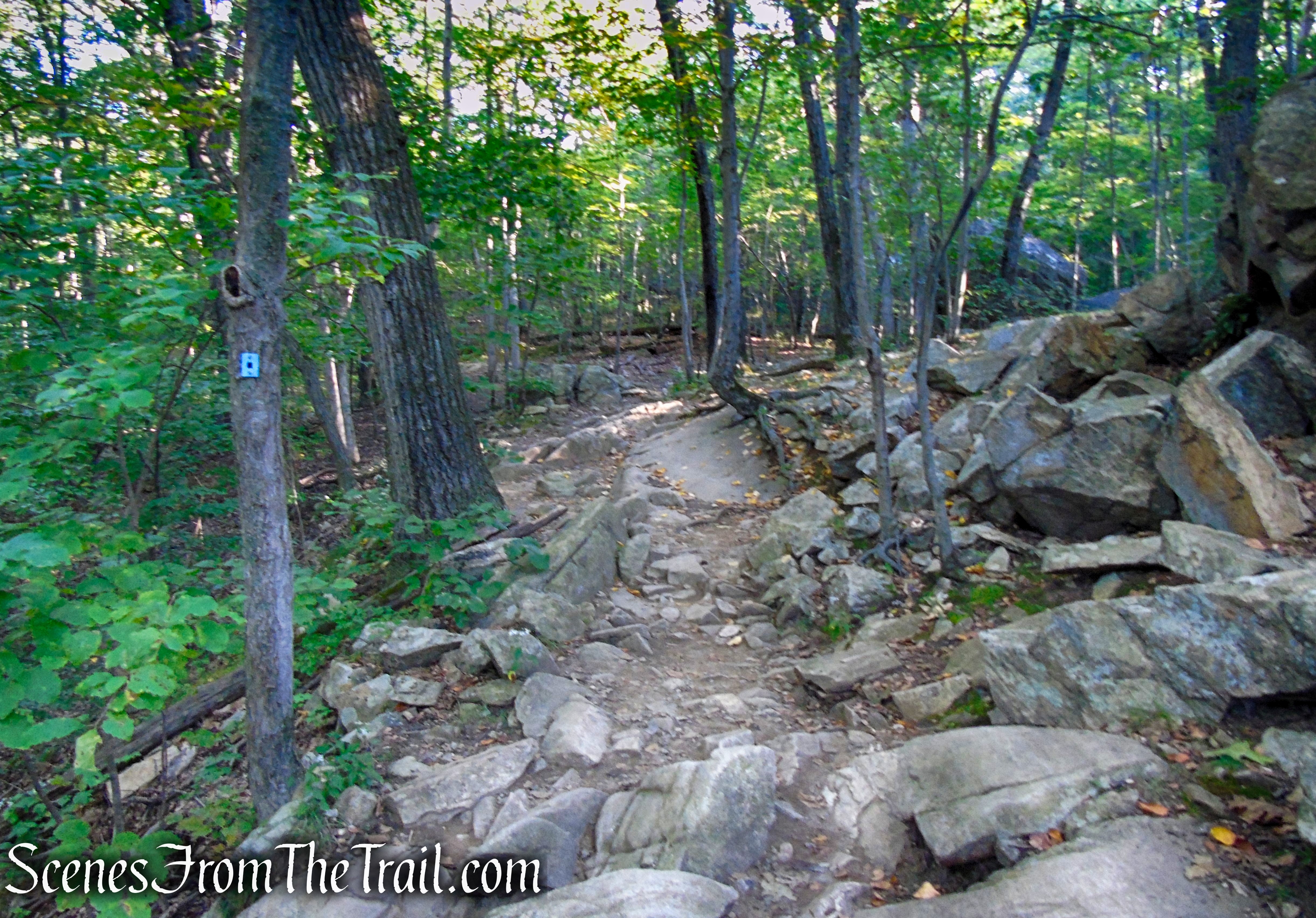 Ramapo Lake Spur – Ramapo Mountain State Forest