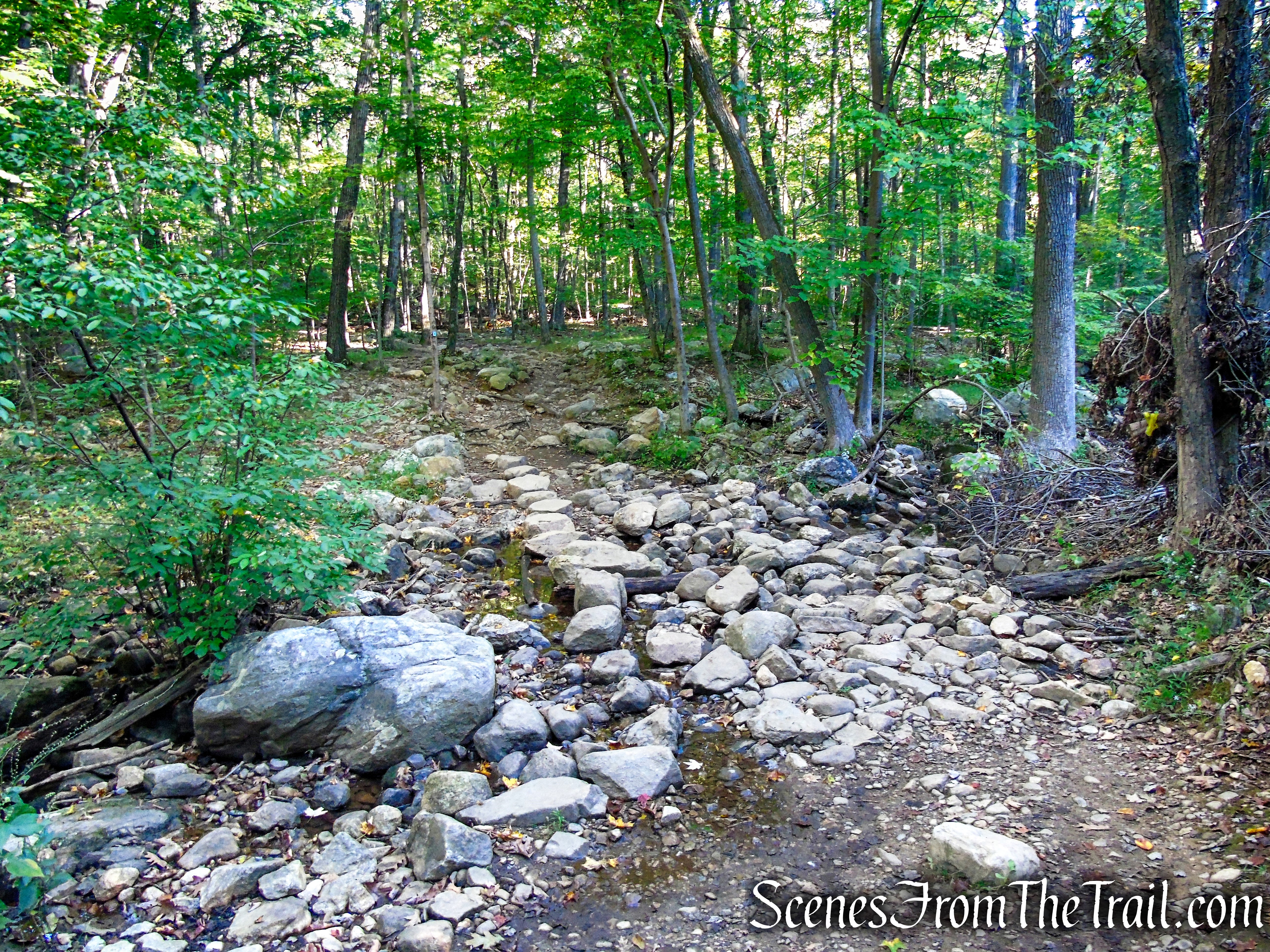 Ramapo Lake Spur – Ramapo Mountain State Forest