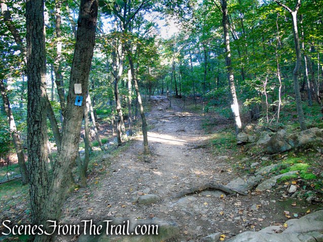 Ramapo Lake Spur – Ramapo Mountain State Forest