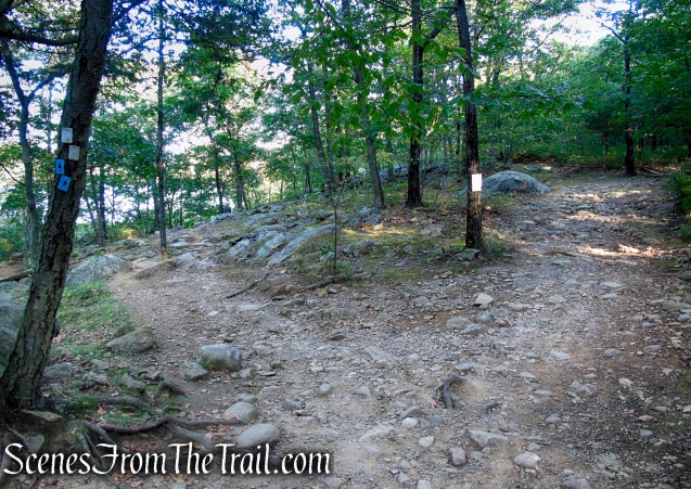 Ramapo Lake Spur – Ramapo Mountain State Forest