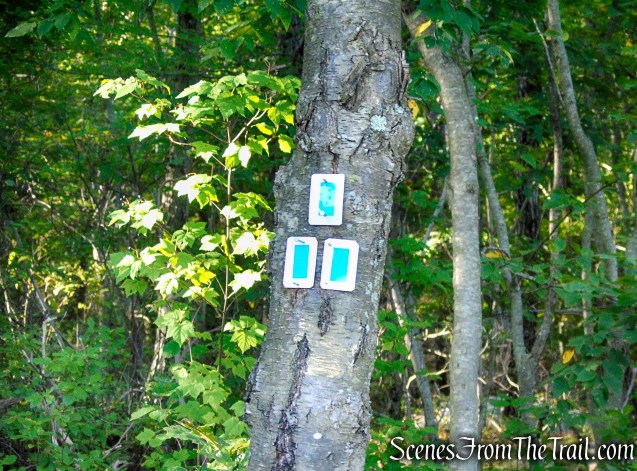 Ramapo Lake Loop – Ramapo Mountain State Forest