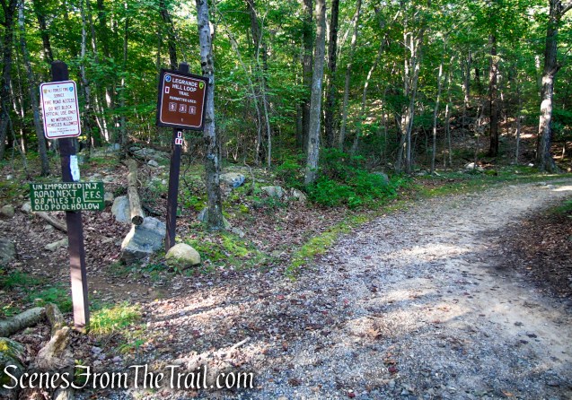 LeGrande Hill Loop – Ramapo Mountain State Forest