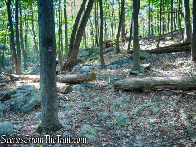 LeGrande Hill Loop – Ramapo Mountain State Forest