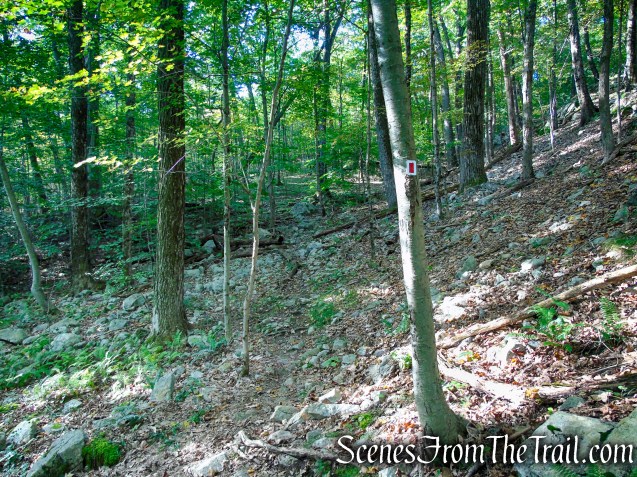 LeGrande Hill Loop – Ramapo Mountain State Forest