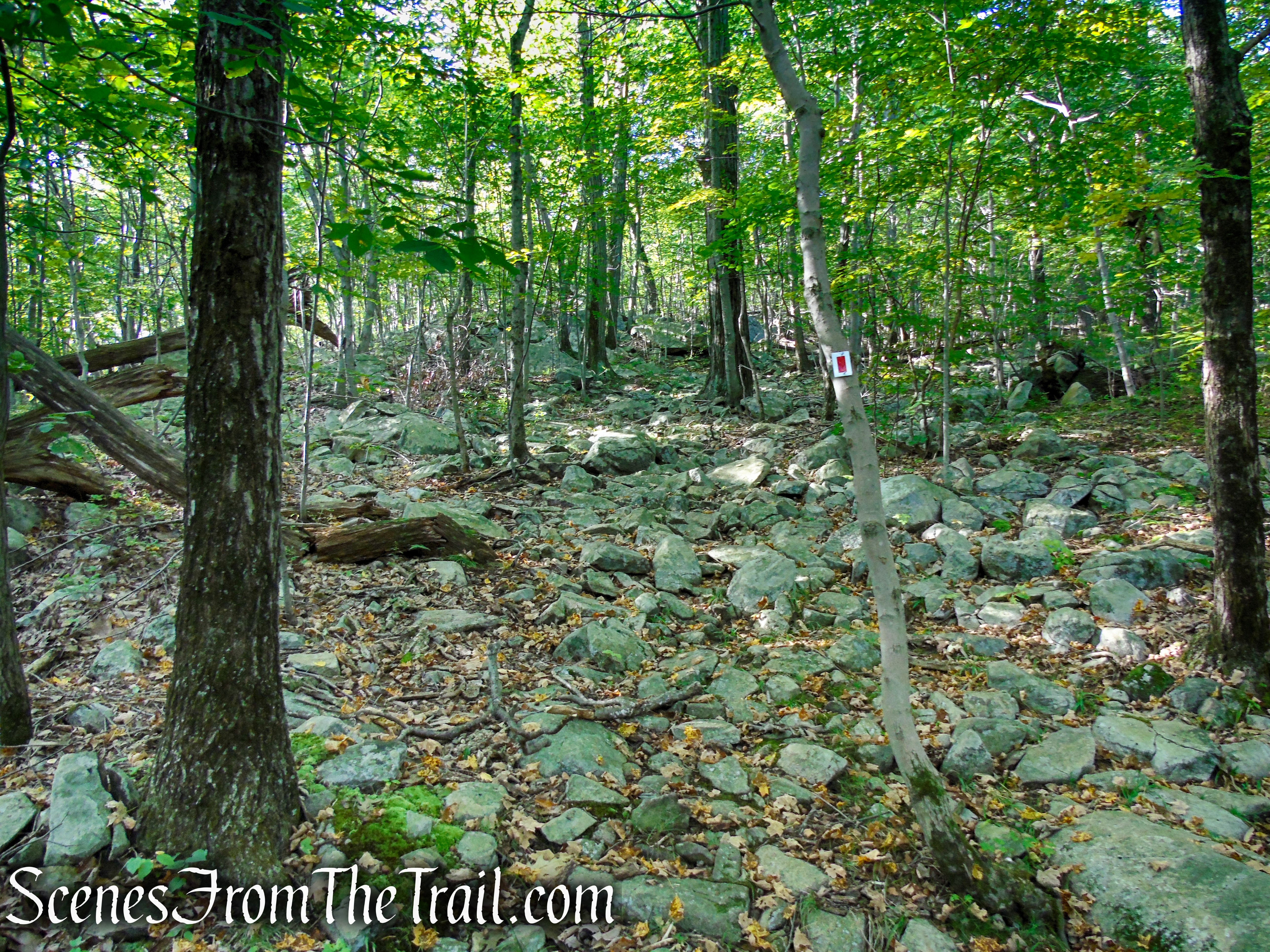 LeGrande Hill Loop – Ramapo Mountain State Forest