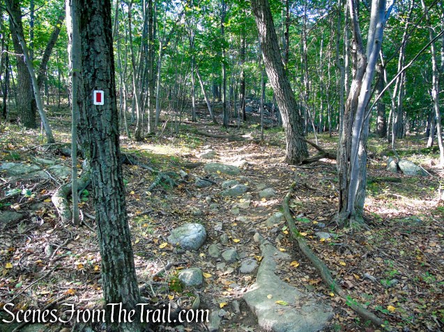 LeGrande Hill Loop – Ramapo Mountain State Forest
