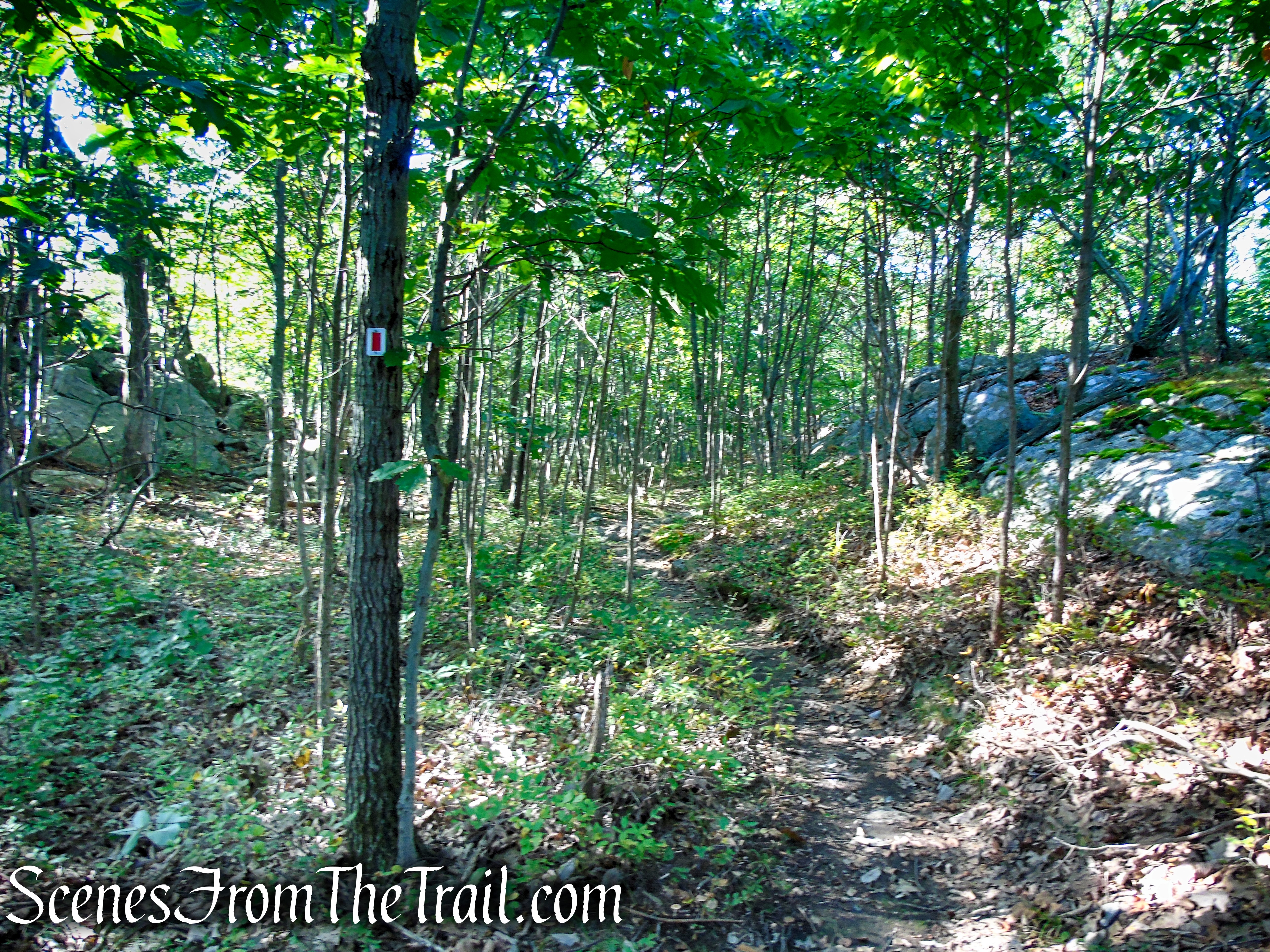 LeGrande Hill Loop – Ramapo Mountain State Forest