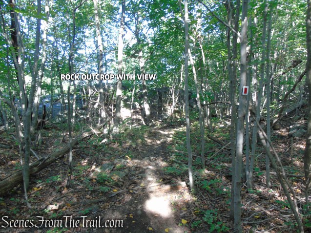 LeGrande Hill Loop – Ramapo Mountain State Forest