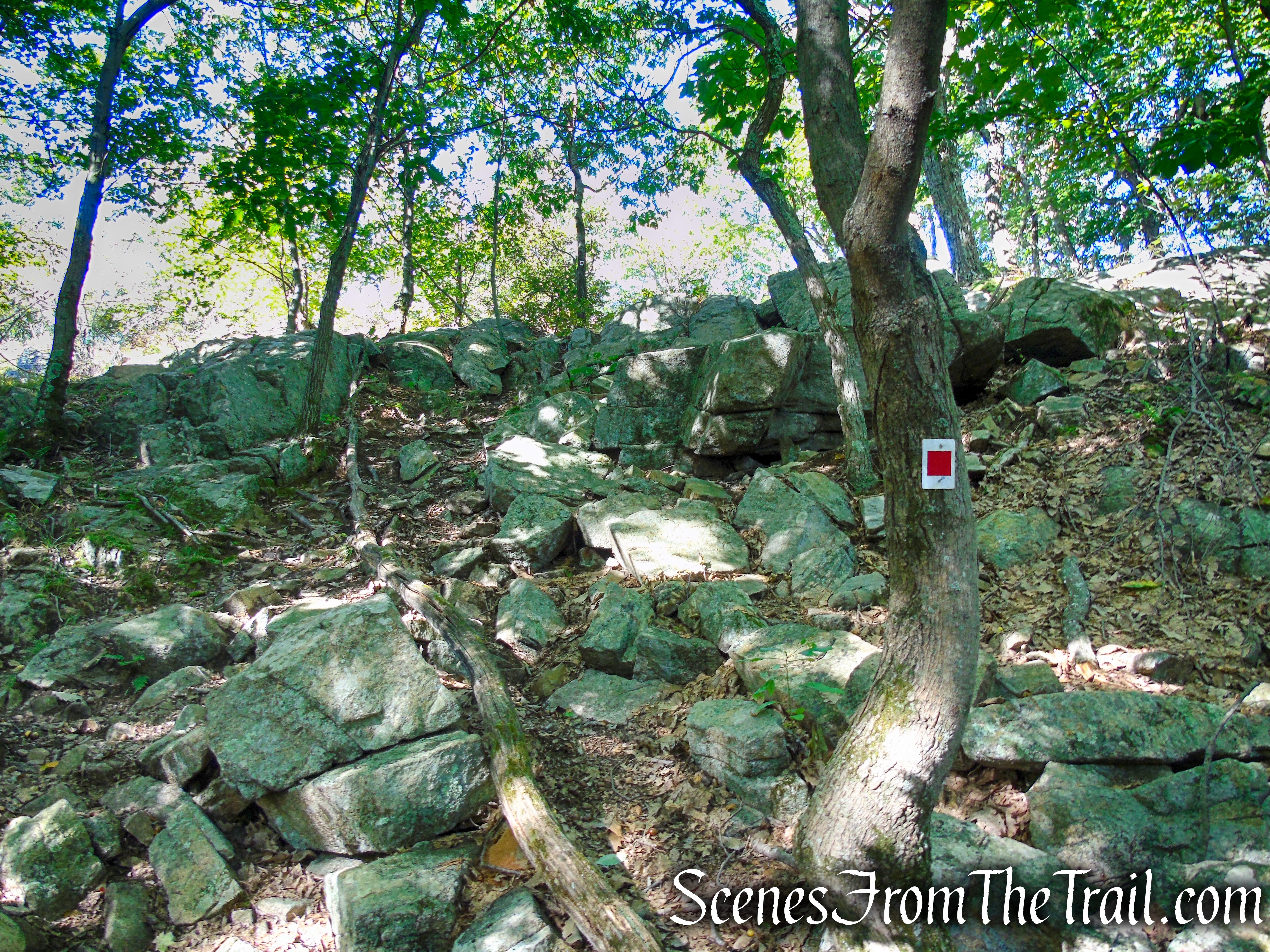 LeGrande Hill Loop – Ramapo Mountain State Forest