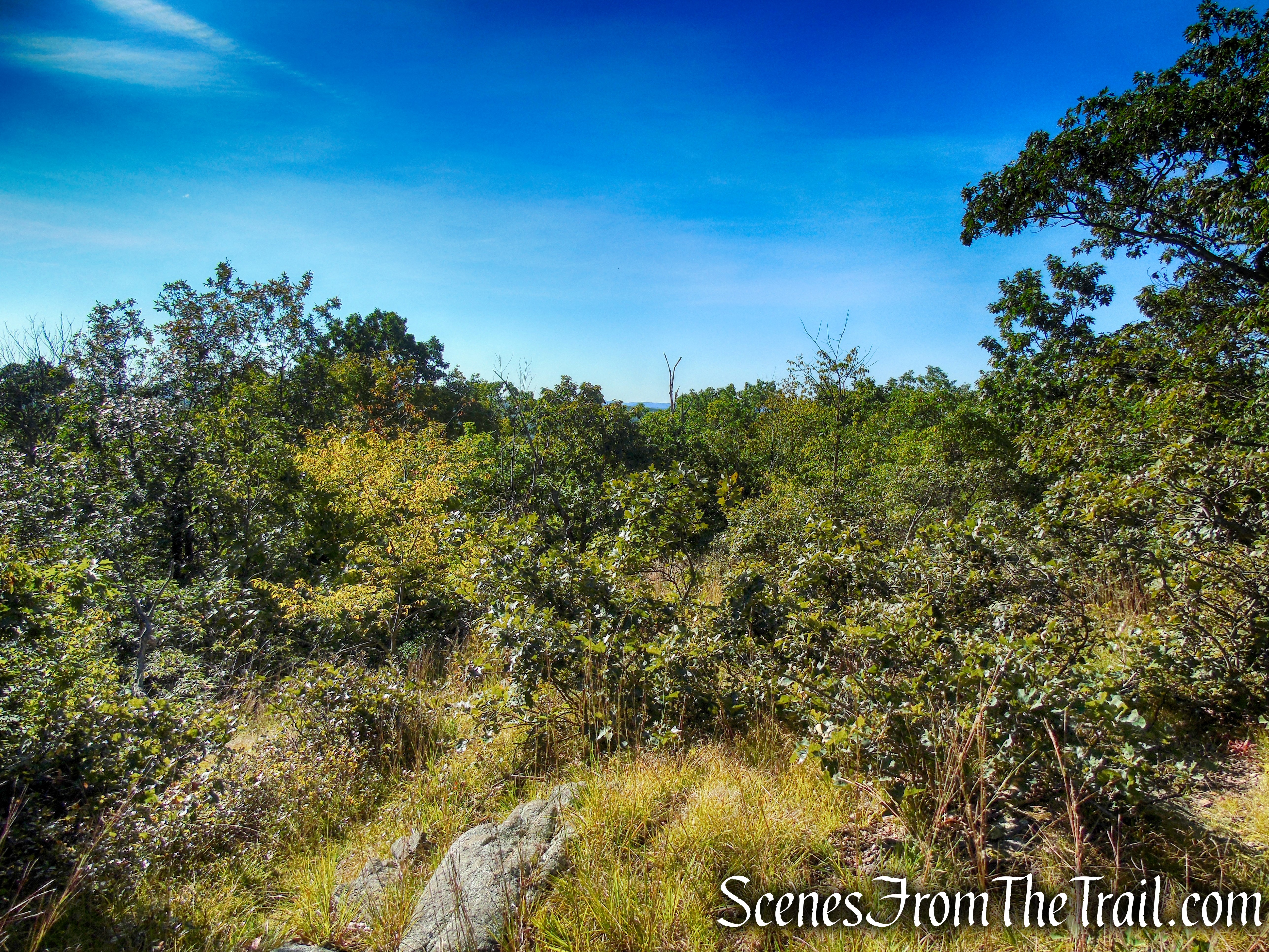 limited east-facing view - LeGrande Hill Loop