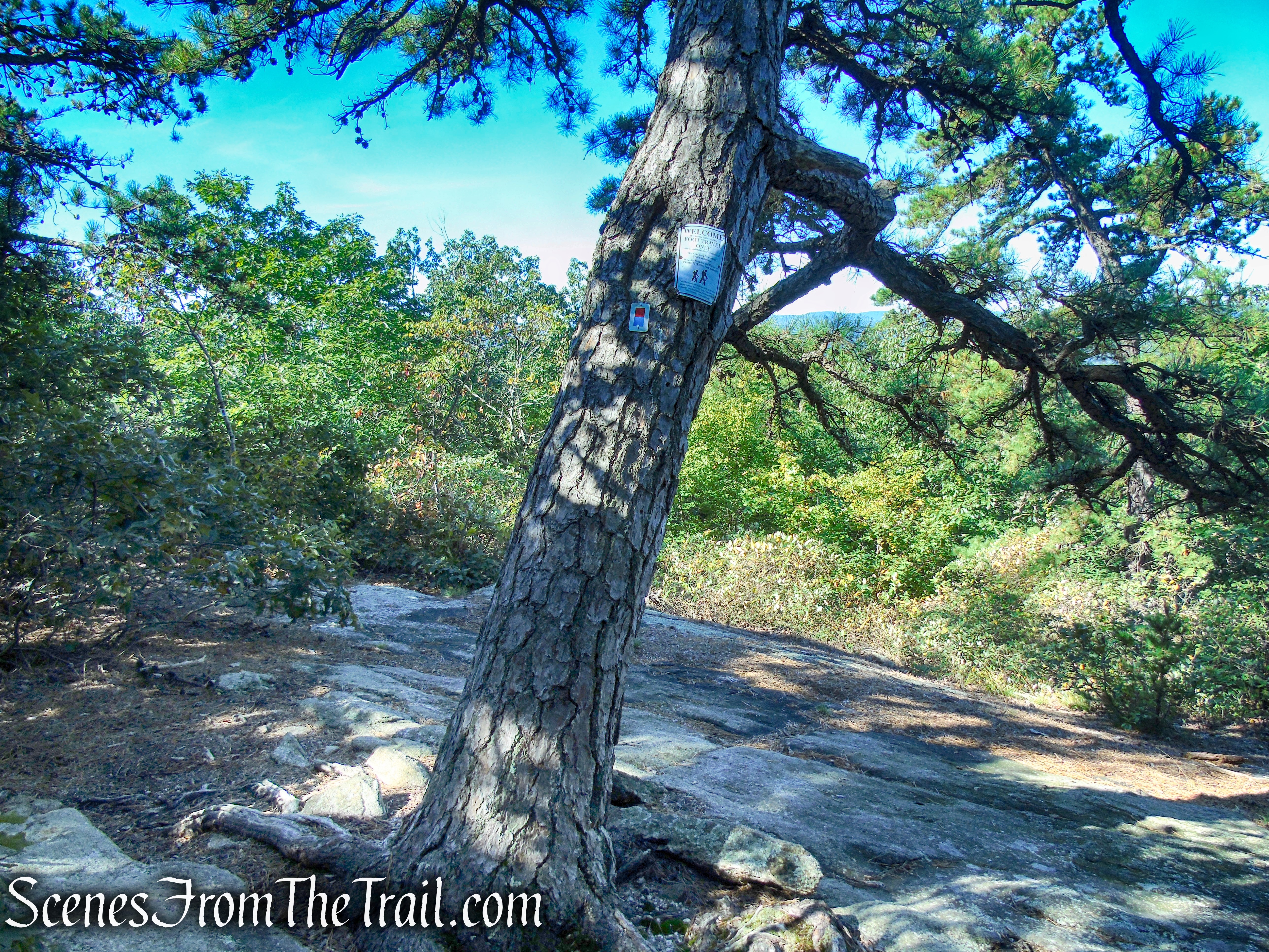 west-facing viewpoint - LeGrande-Lake Connector Trail