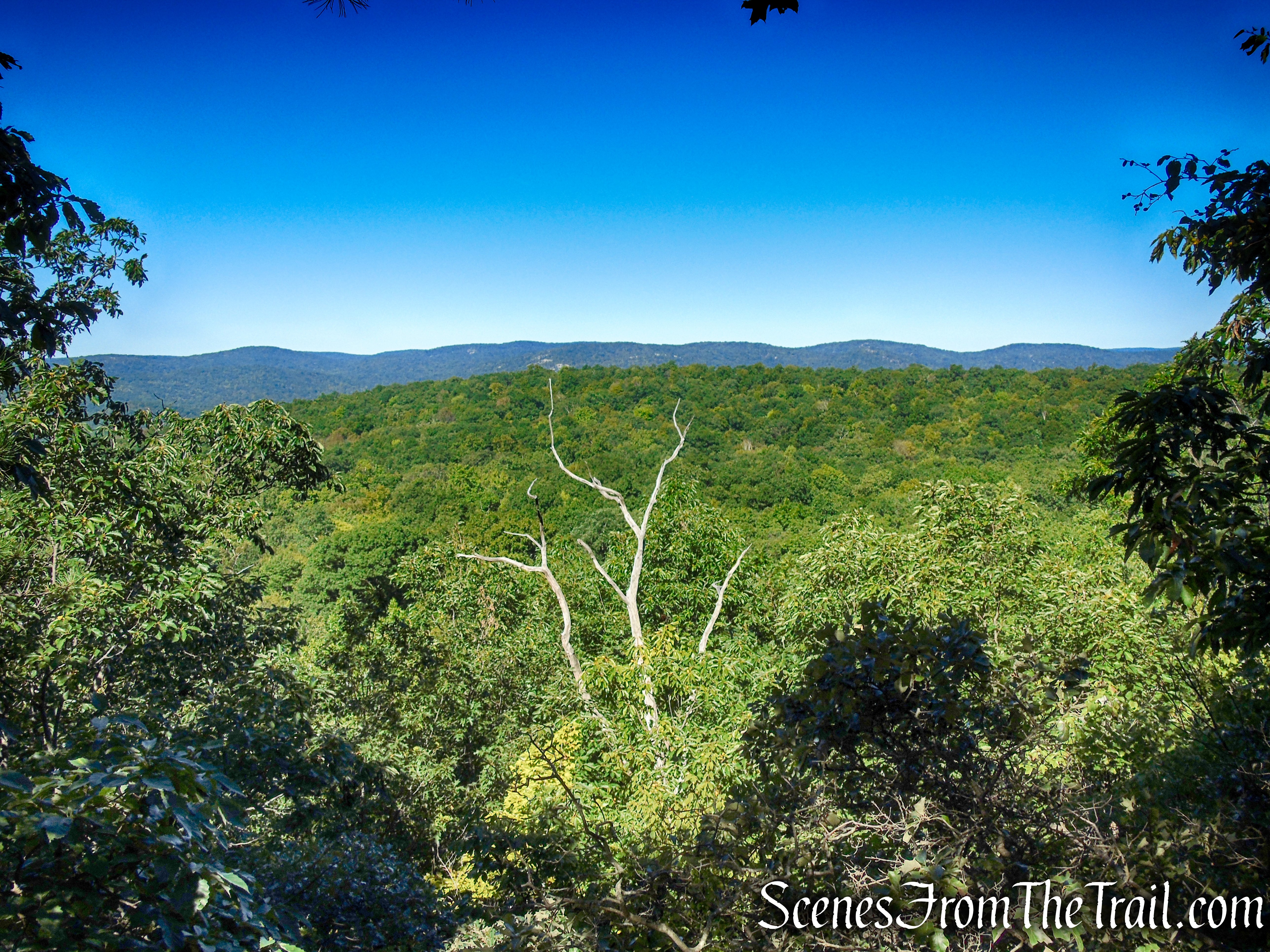 west-facing viewpoint - LeGrande-Lake Connector Trail