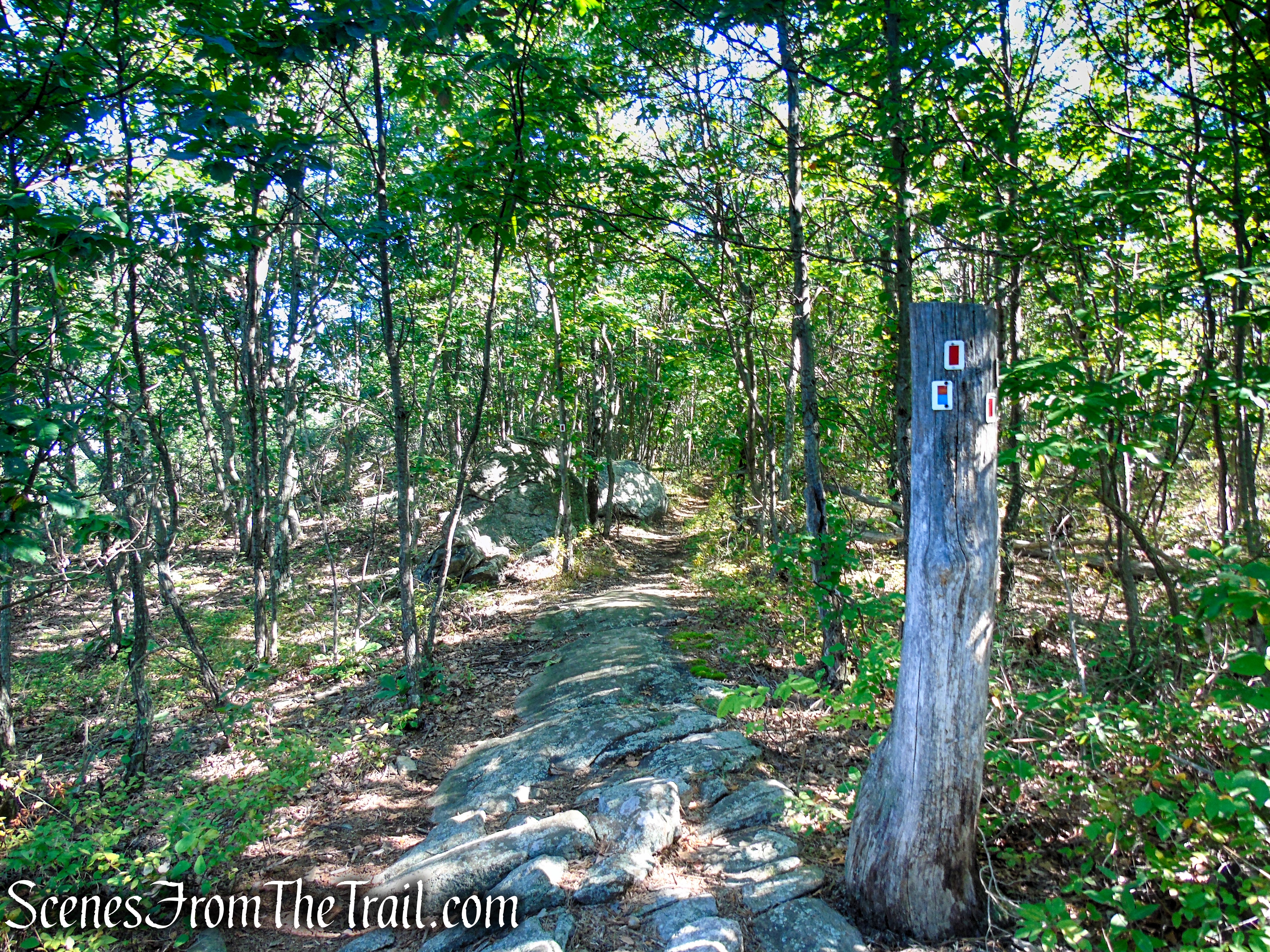 LeGrande Hill Loop – Ramapo Mountain State Forest