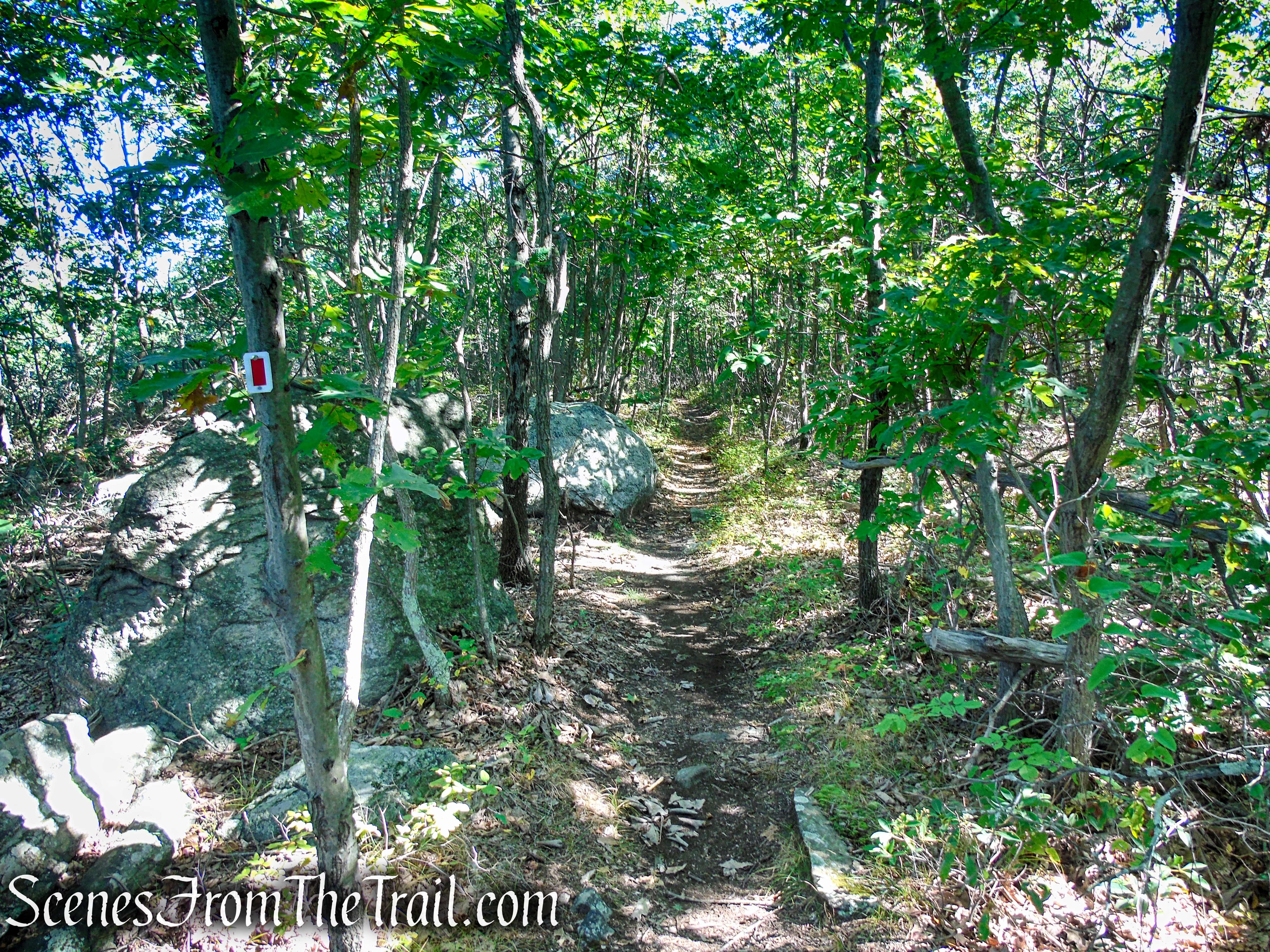 LeGrande Hill Loop – Ramapo Mountain State Forest