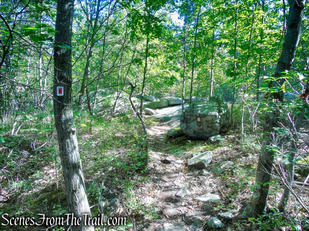 LeGrande Hill Loop – Ramapo Mountain State Forest