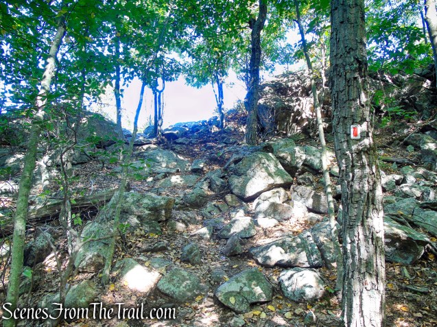 LeGrande Hill Loop – Ramapo Mountain State Forest