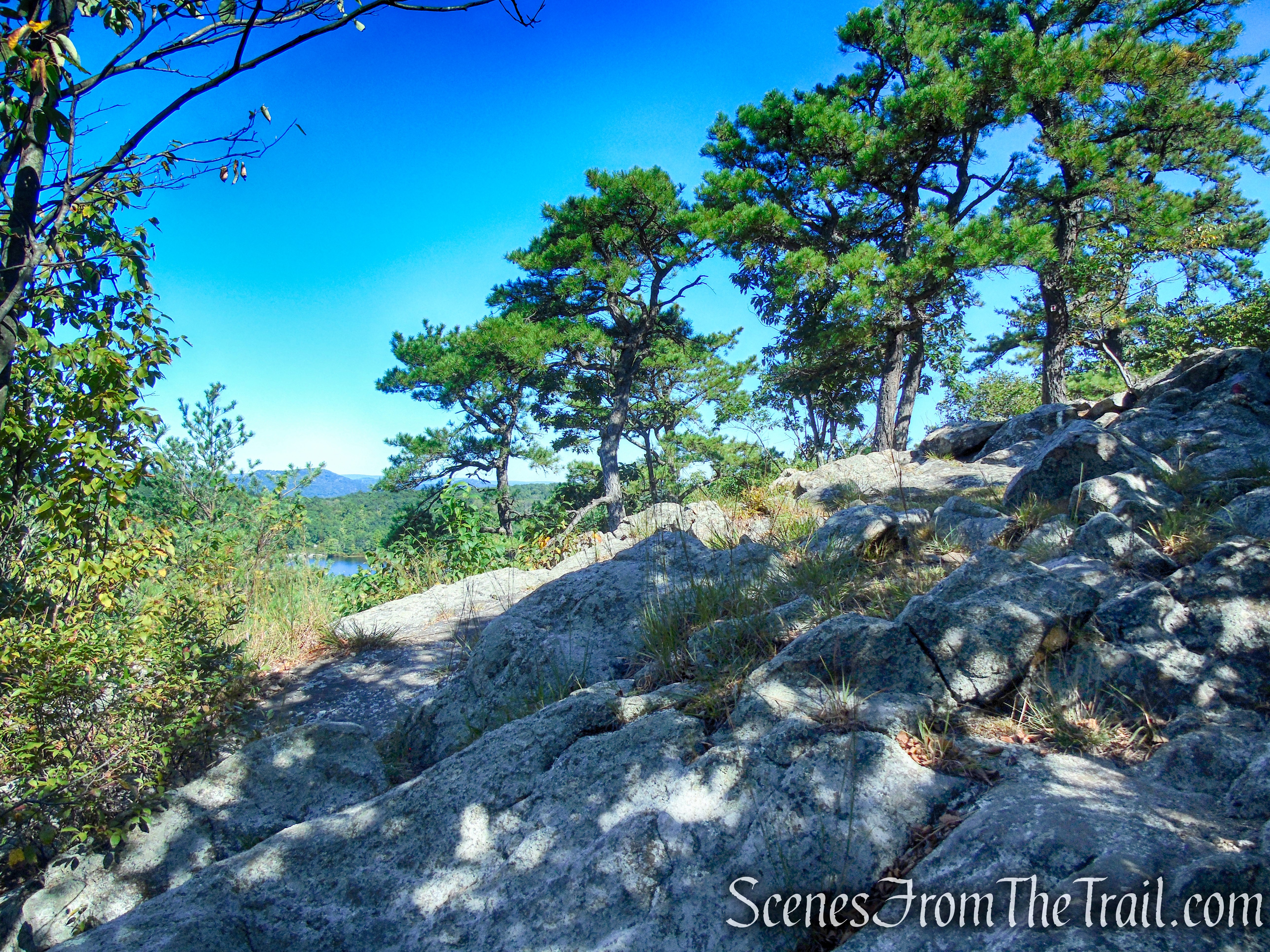 LeGrande Hill Loop – Ramapo Mountain State Forest