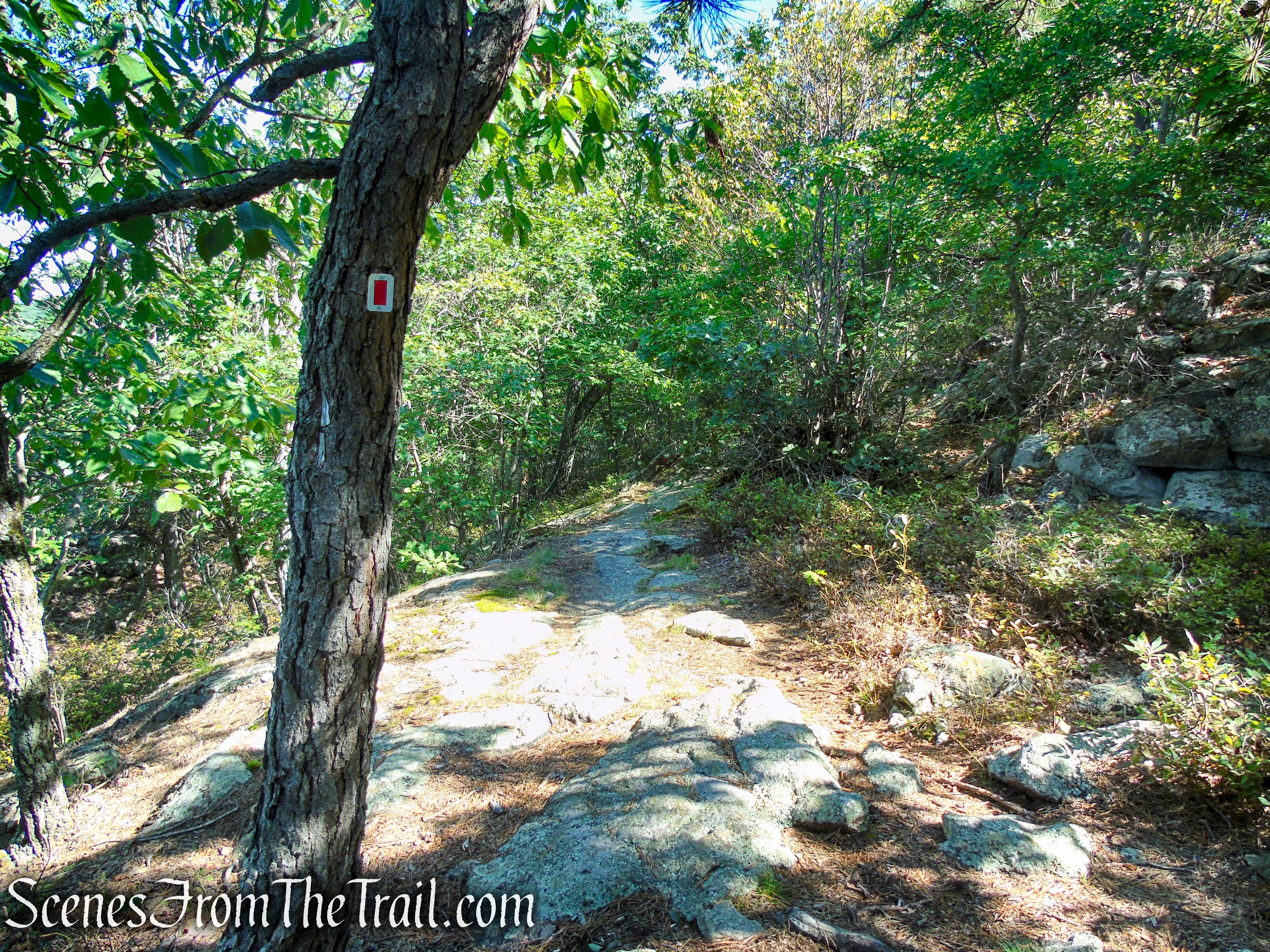 LeGrande Hill Loop – Ramapo Mountain State Forest