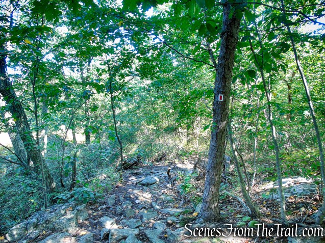 LeGrande Hill Loop – Ramapo Mountain State Forest
