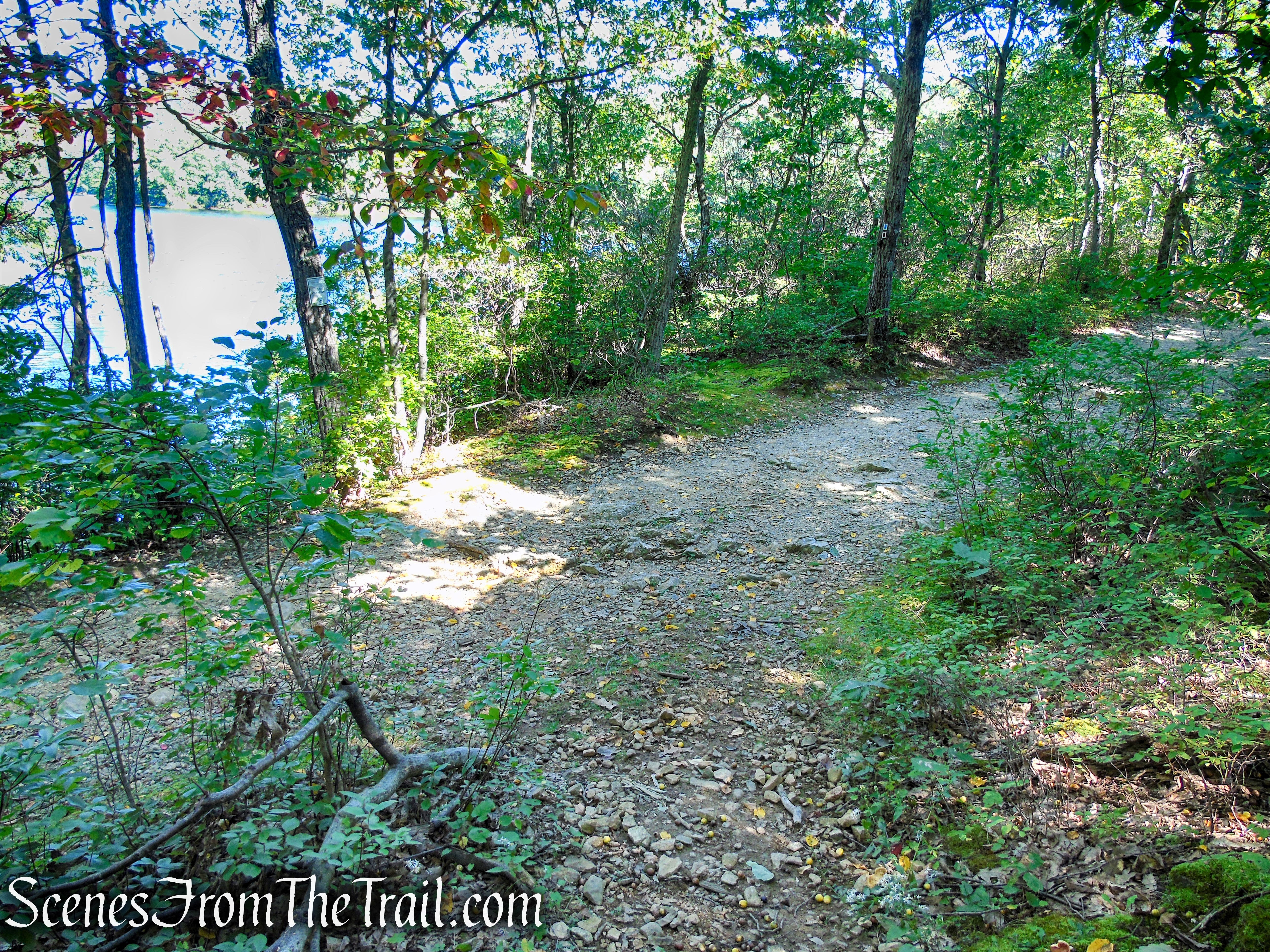 LeGrande Hill Loop – Ramapo Mountain State Forest