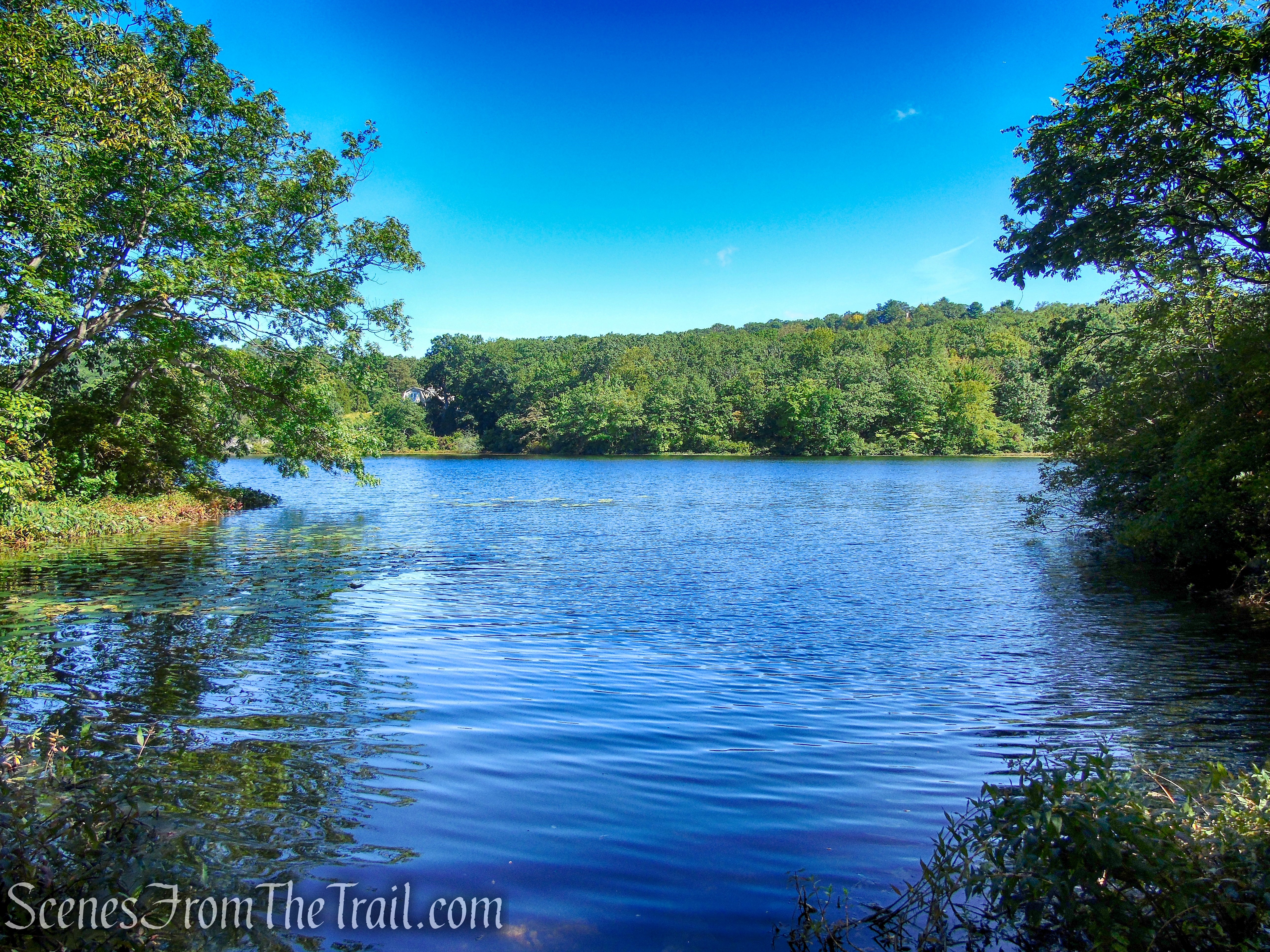 Ramapo Lake - Ramapo Mountain State Forest