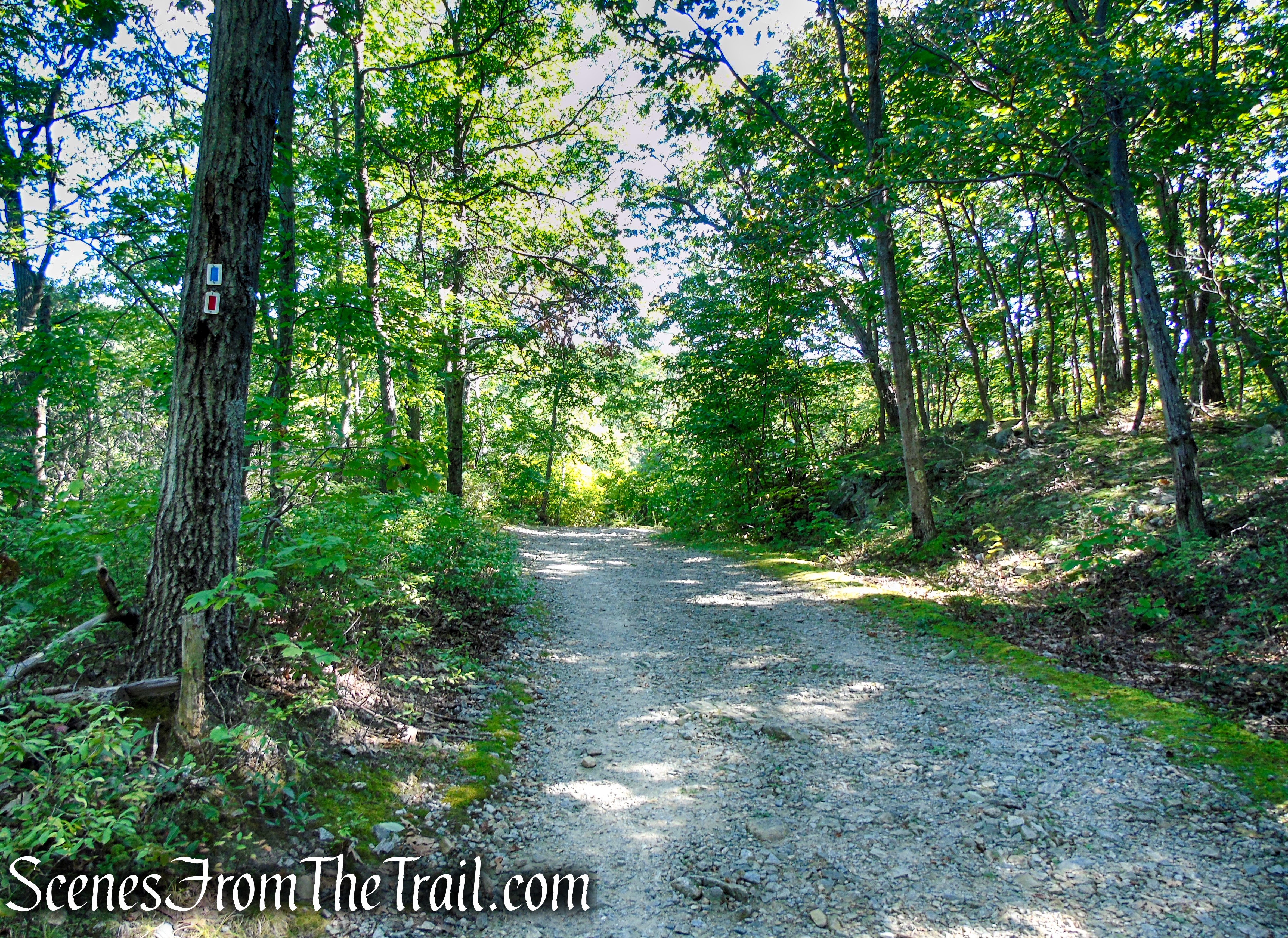 LeGrande Hill Loop – Ramapo Mountain State Forest