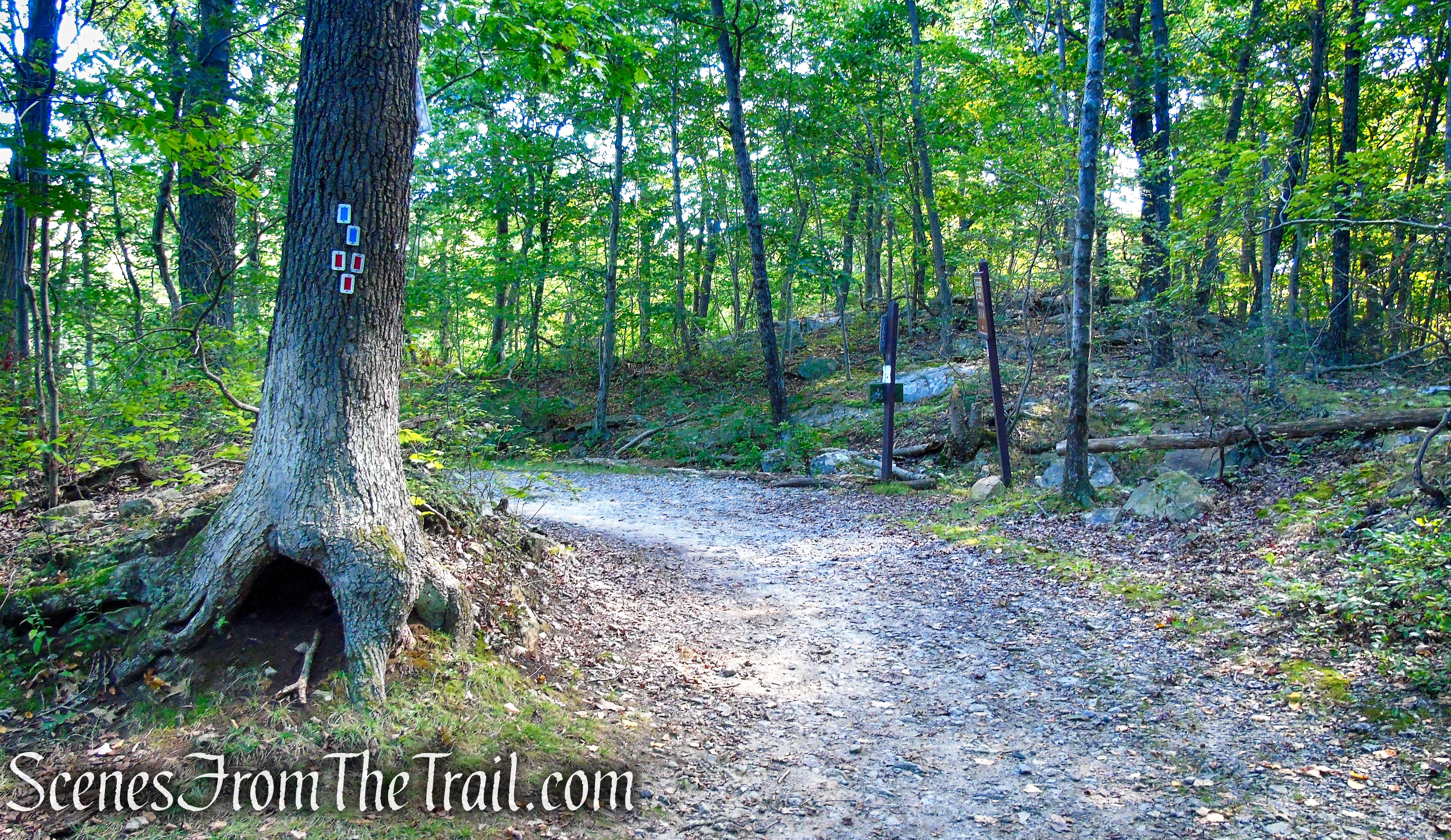 Ramapo Lake Loop – Ramapo Mountain State Forest