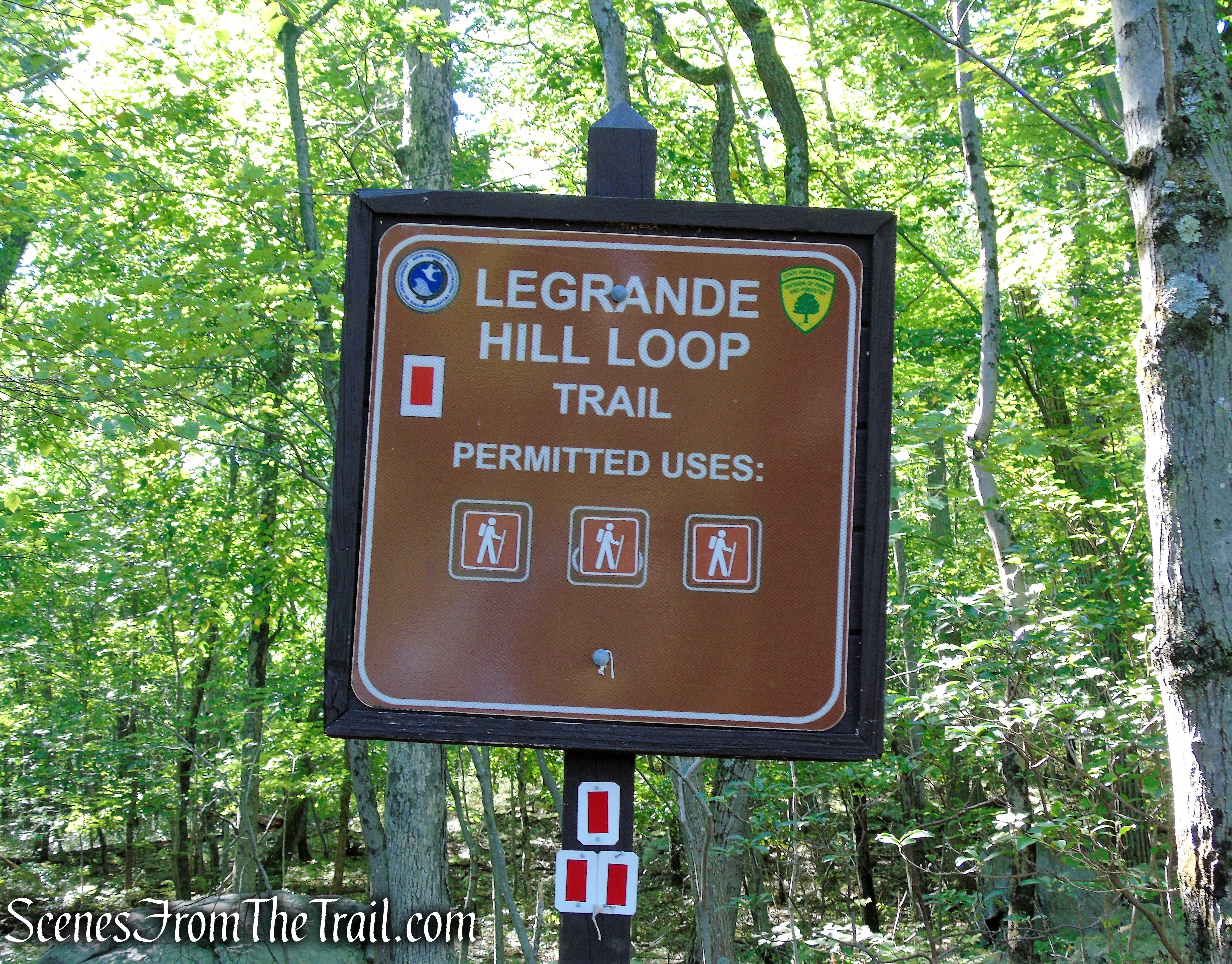 LeGrande Hill Loop – Ramapo Mountain State Forest