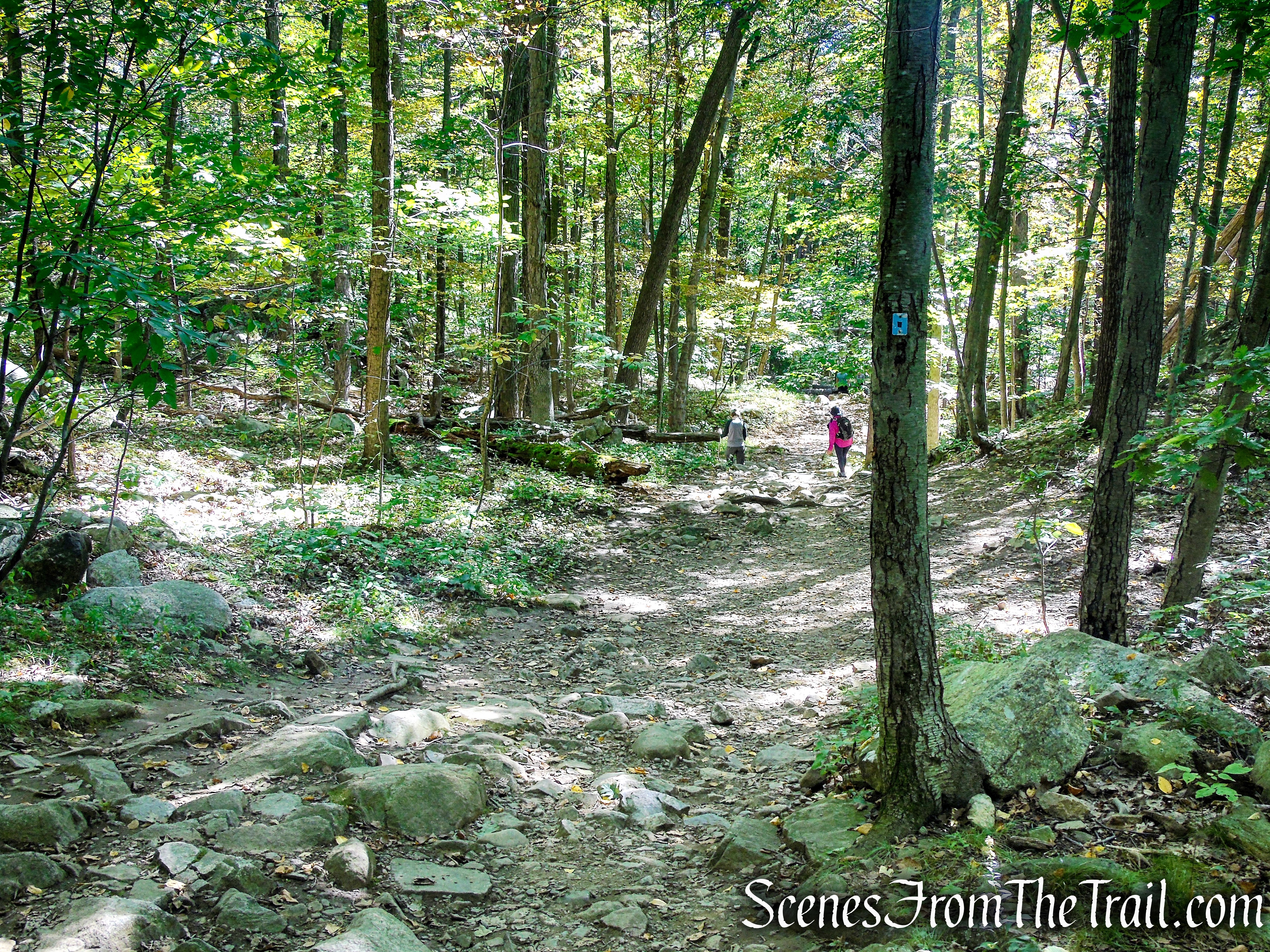 Ramapo Lake Spur – Ramapo Mountain State Forest