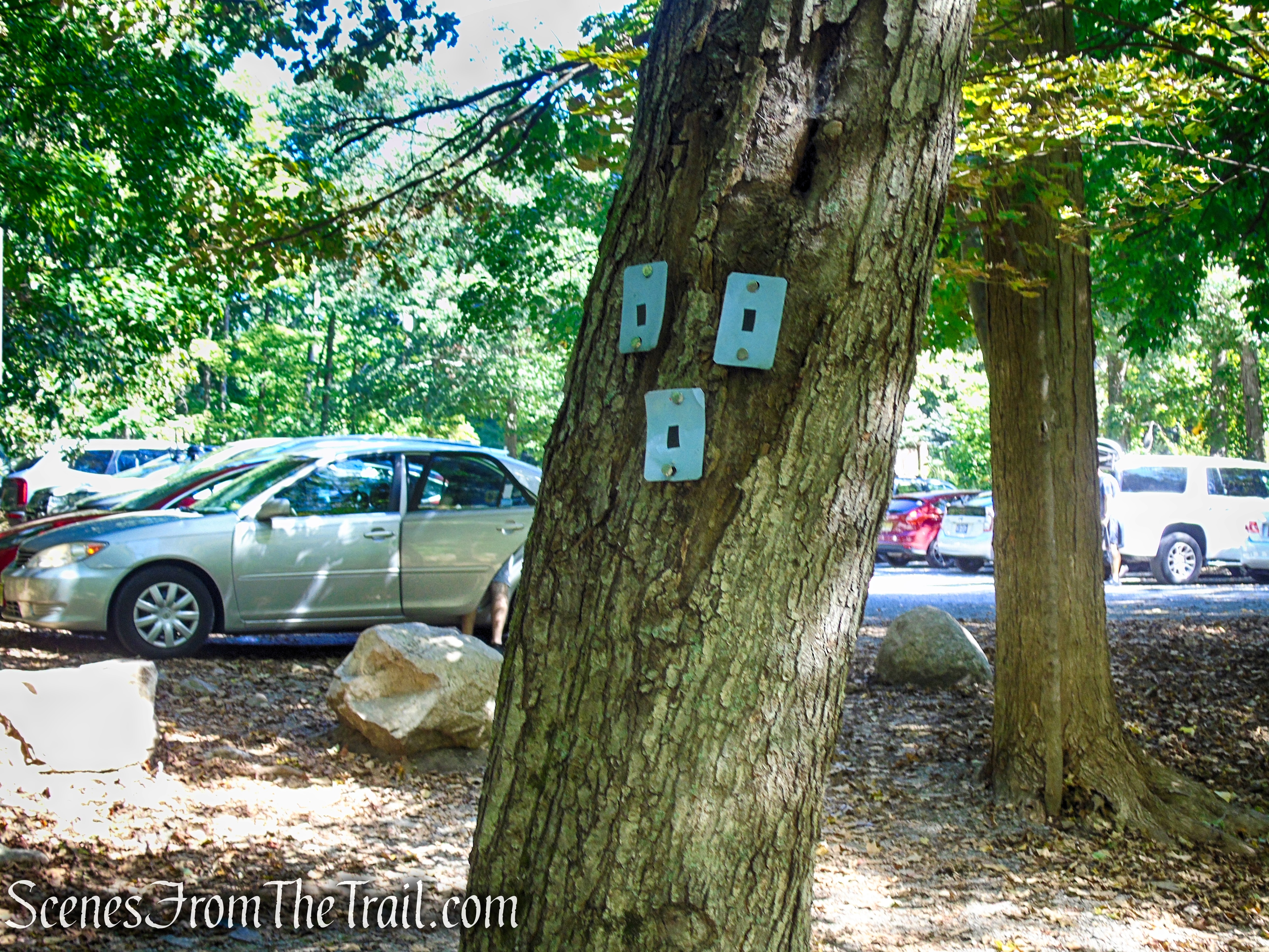 Ramapo Lake Spur – Ramapo Mountain State Forest