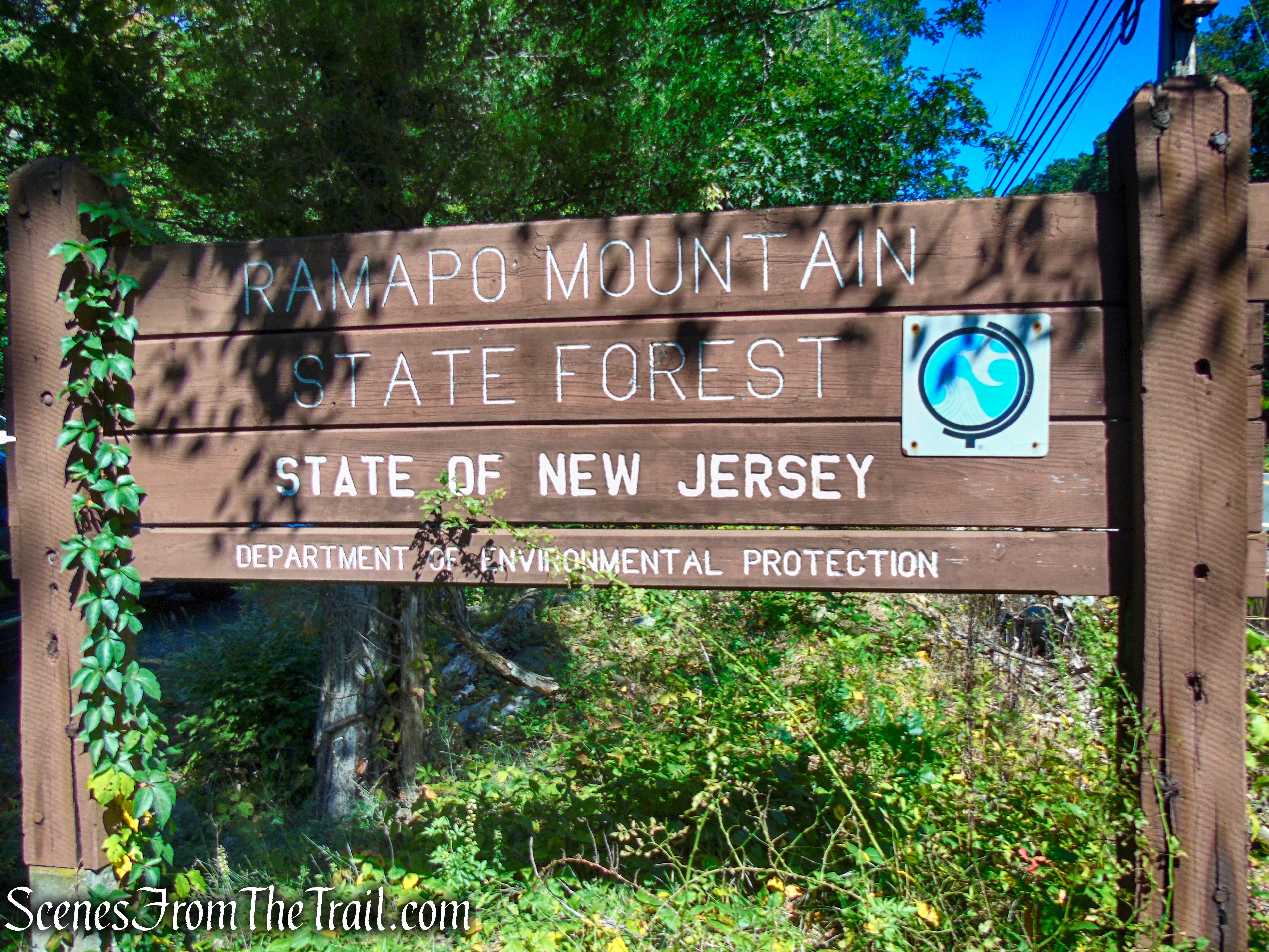 Ramapo Mountain State Forest