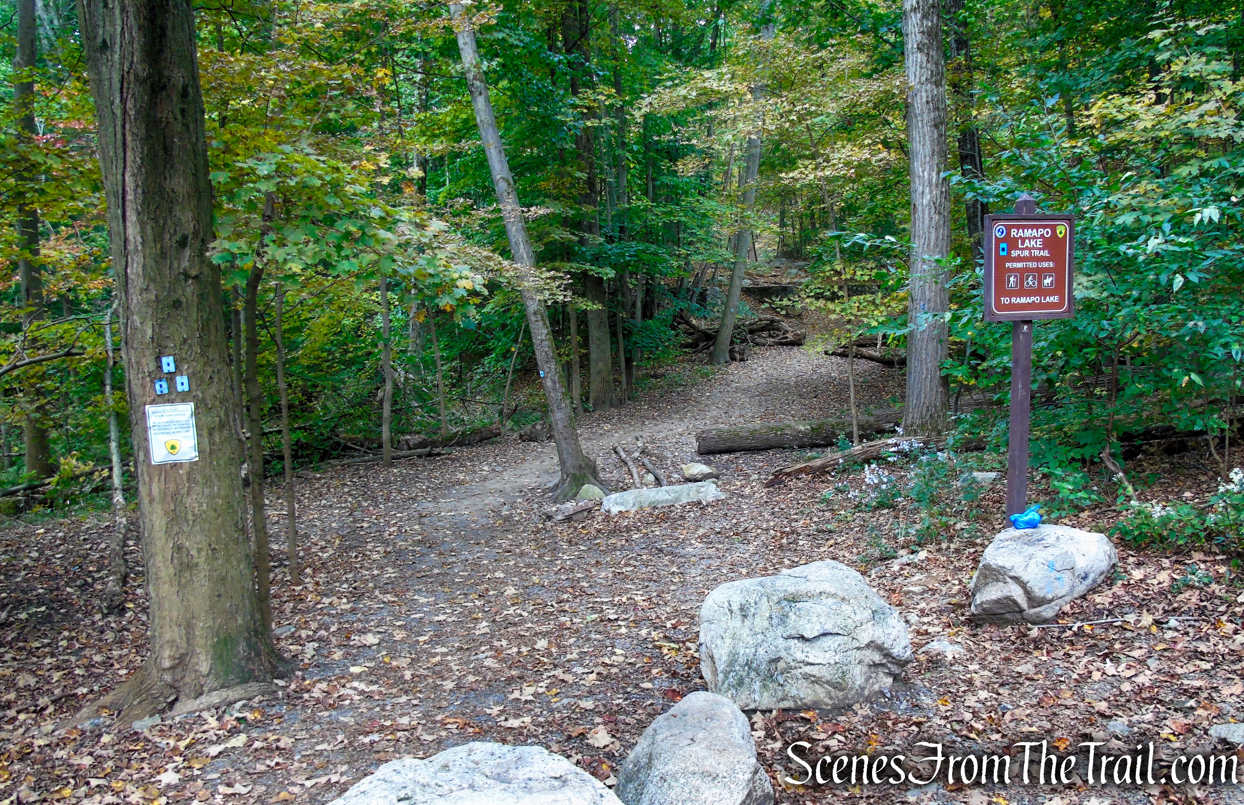 Ramapo Lake Spur - Ramapo Mountain State Forest