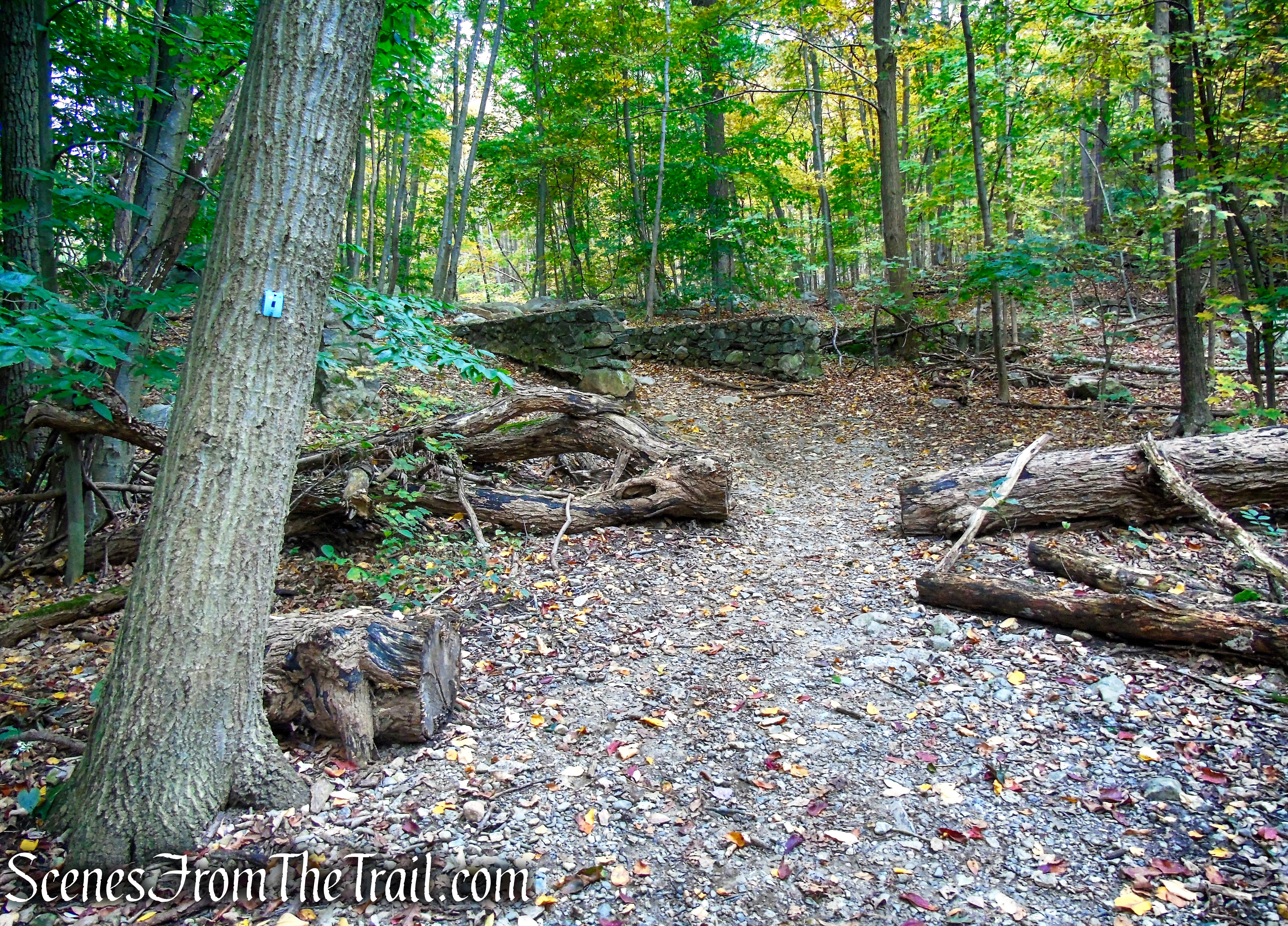 Ramapo Lake Spur - Ramapo Mountain State Forest