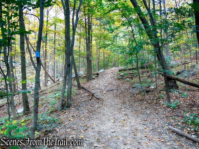 Ramapo Lake Spur - Ramapo Mountain State Forest