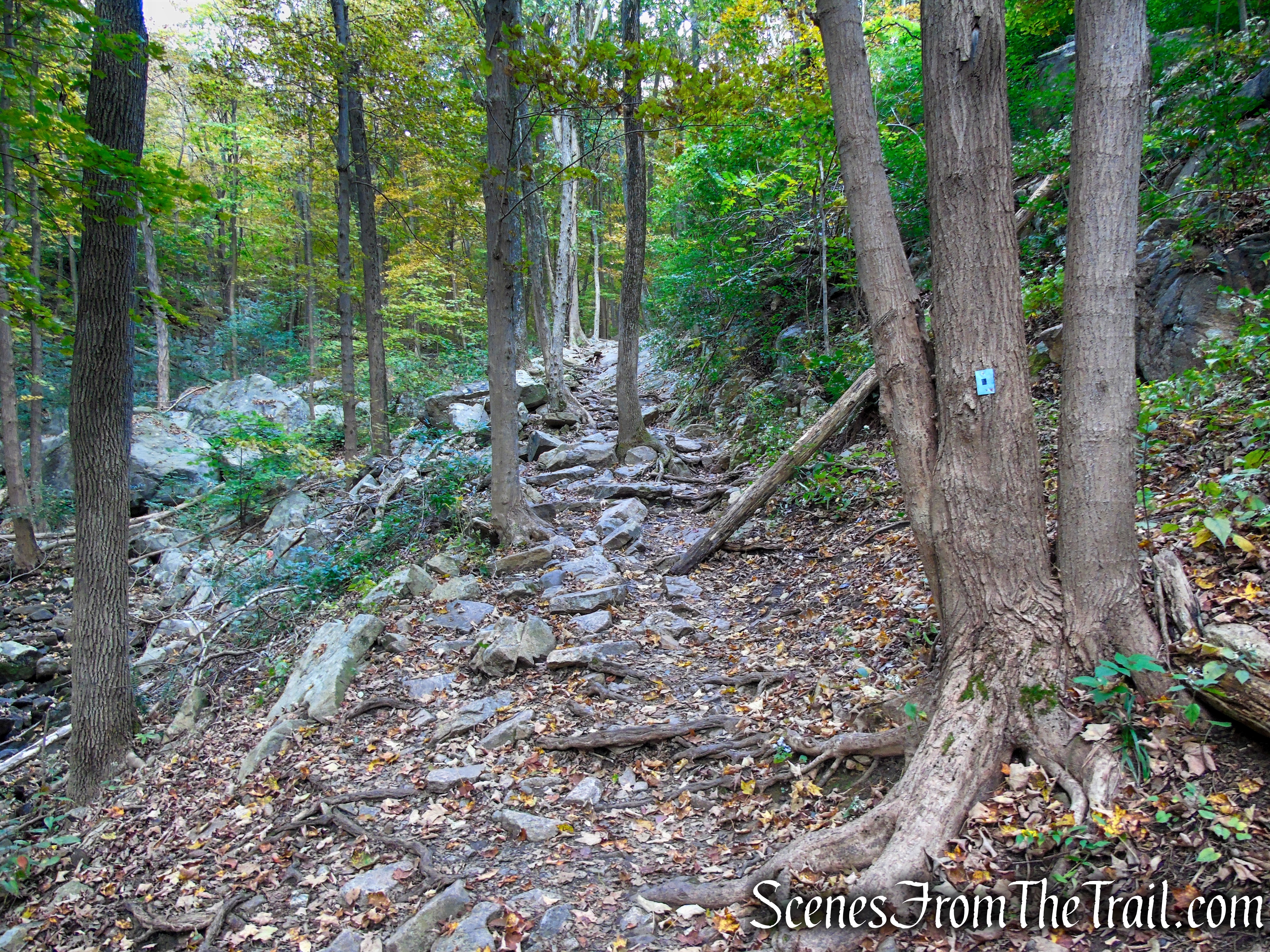 Ramapo Lake Spur - Ramapo Mountain State Forest
