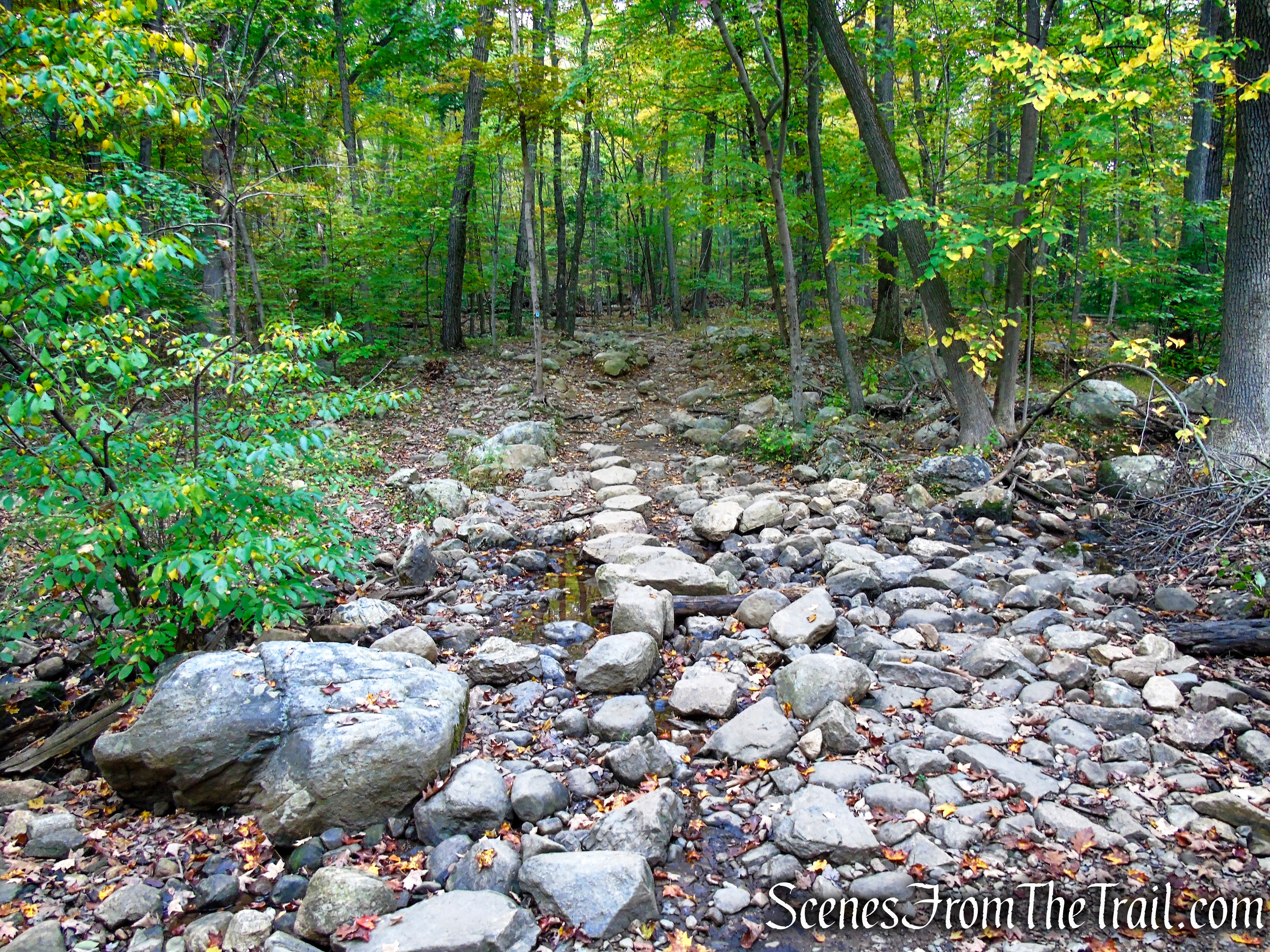 Ramapo Lake Spur - Ramapo Mountain State Forest
