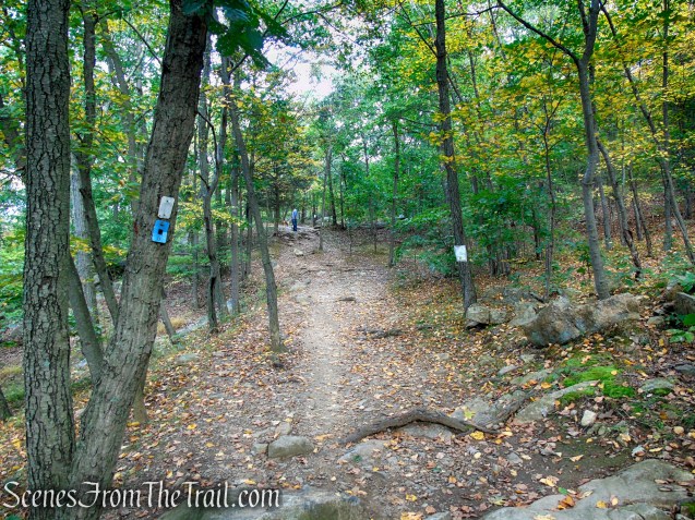 Ramapo Lake Spur - Ramapo Mountain State Forest