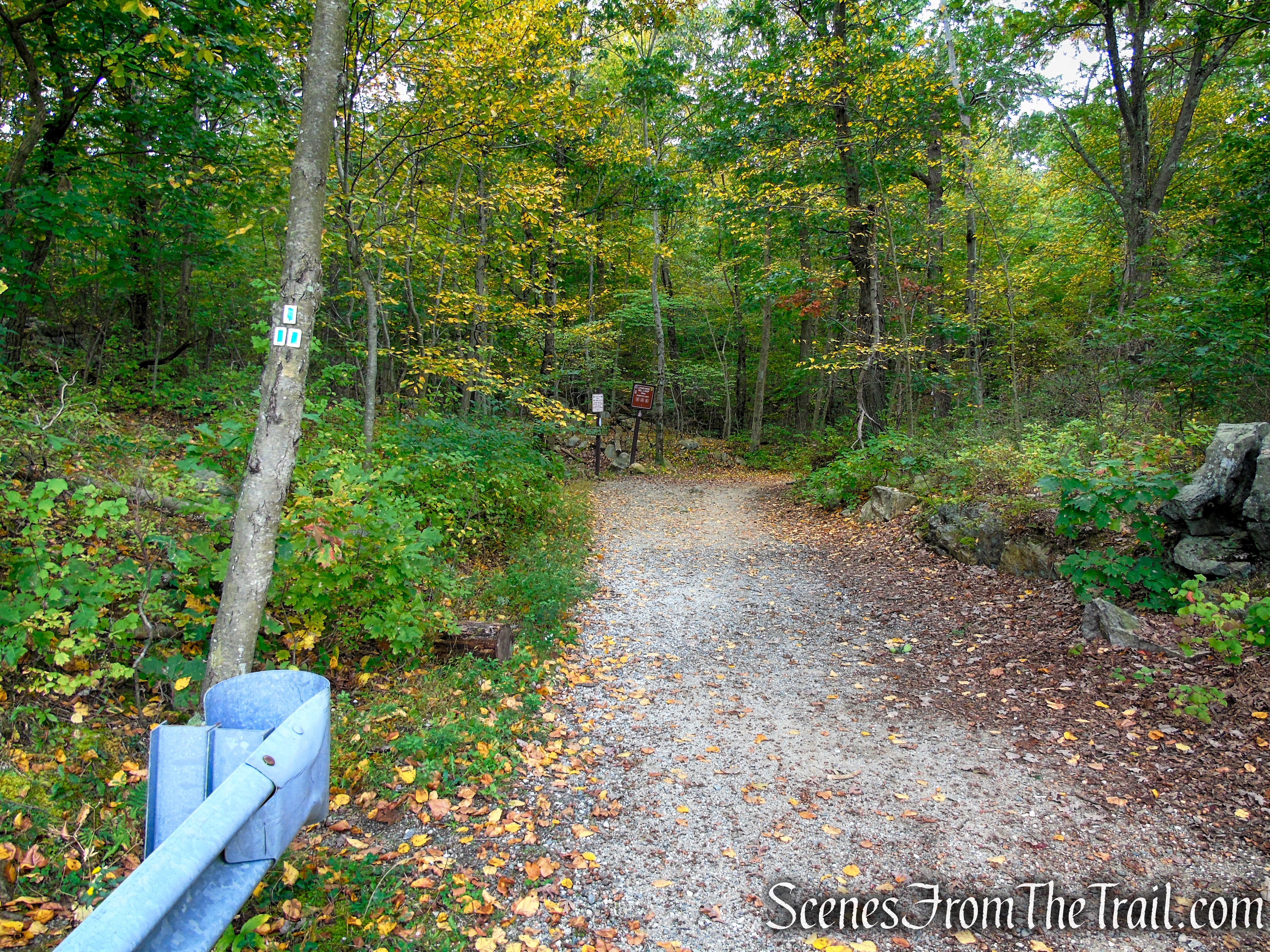 Ramapo Lake Loop - Ramapo Mountain State Forest