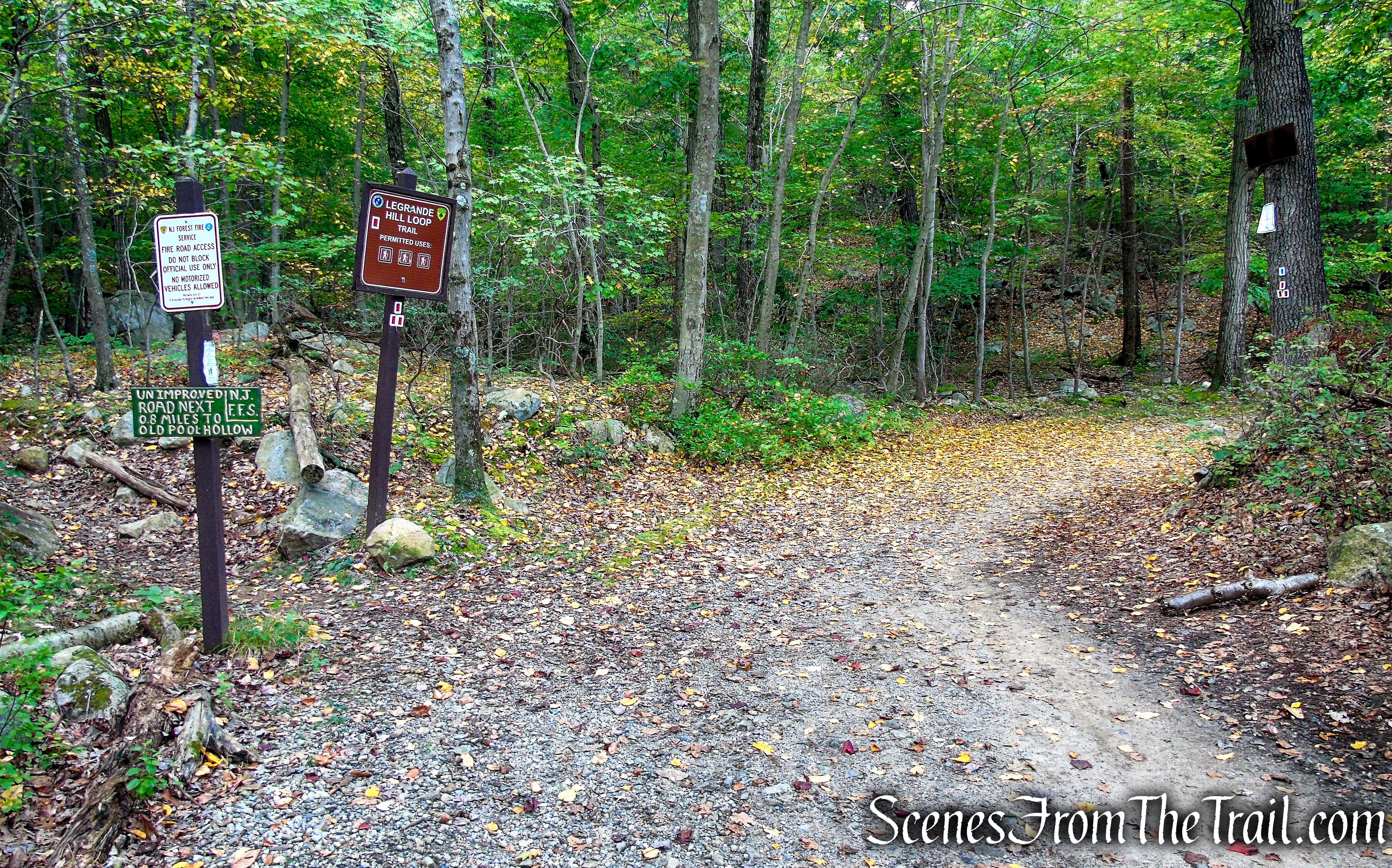 Ramapo Lake Loop - Ramapo Mountain State Forest