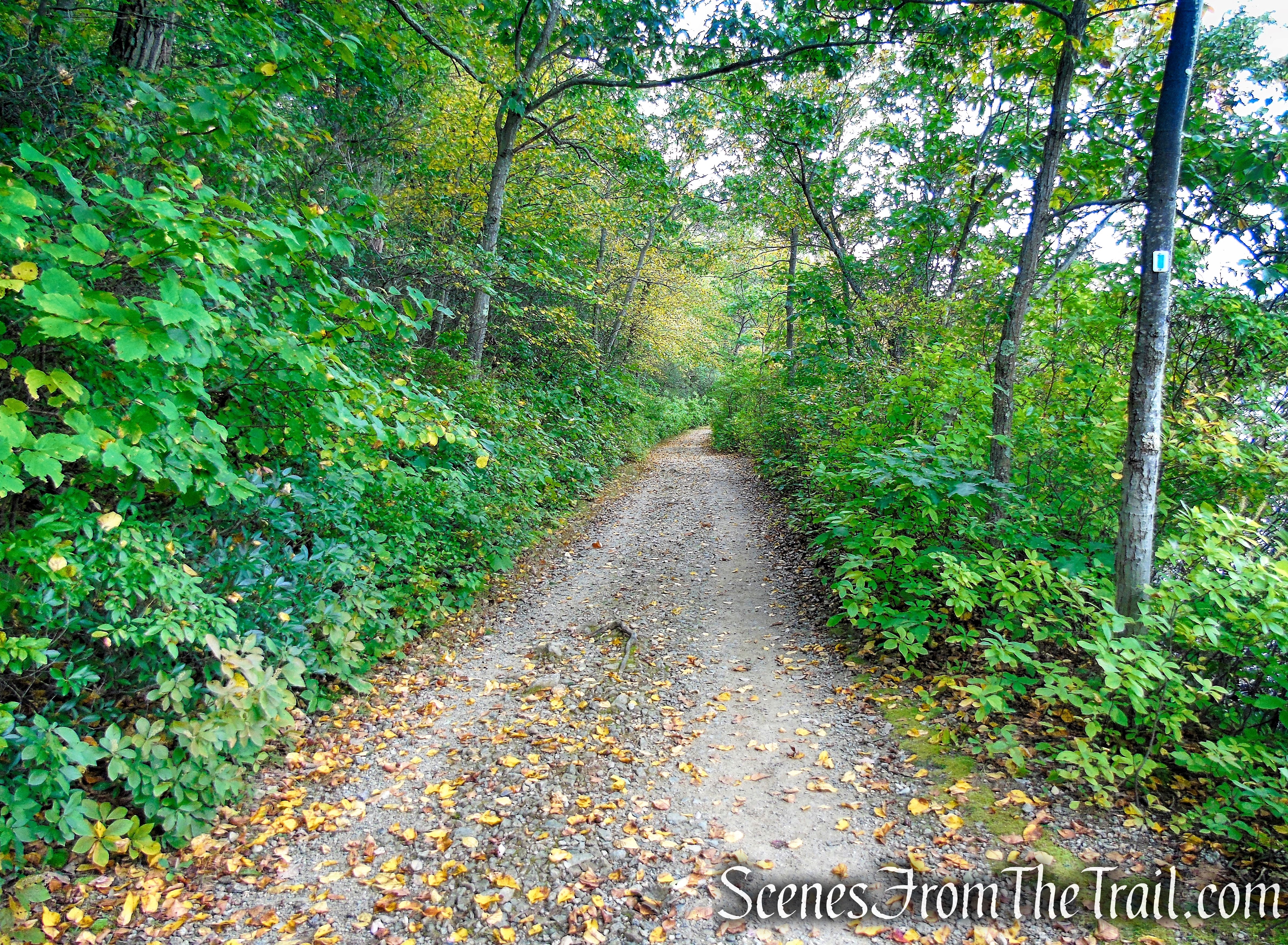 Ramapo Lake Loop - Ramapo Mountain State Forest