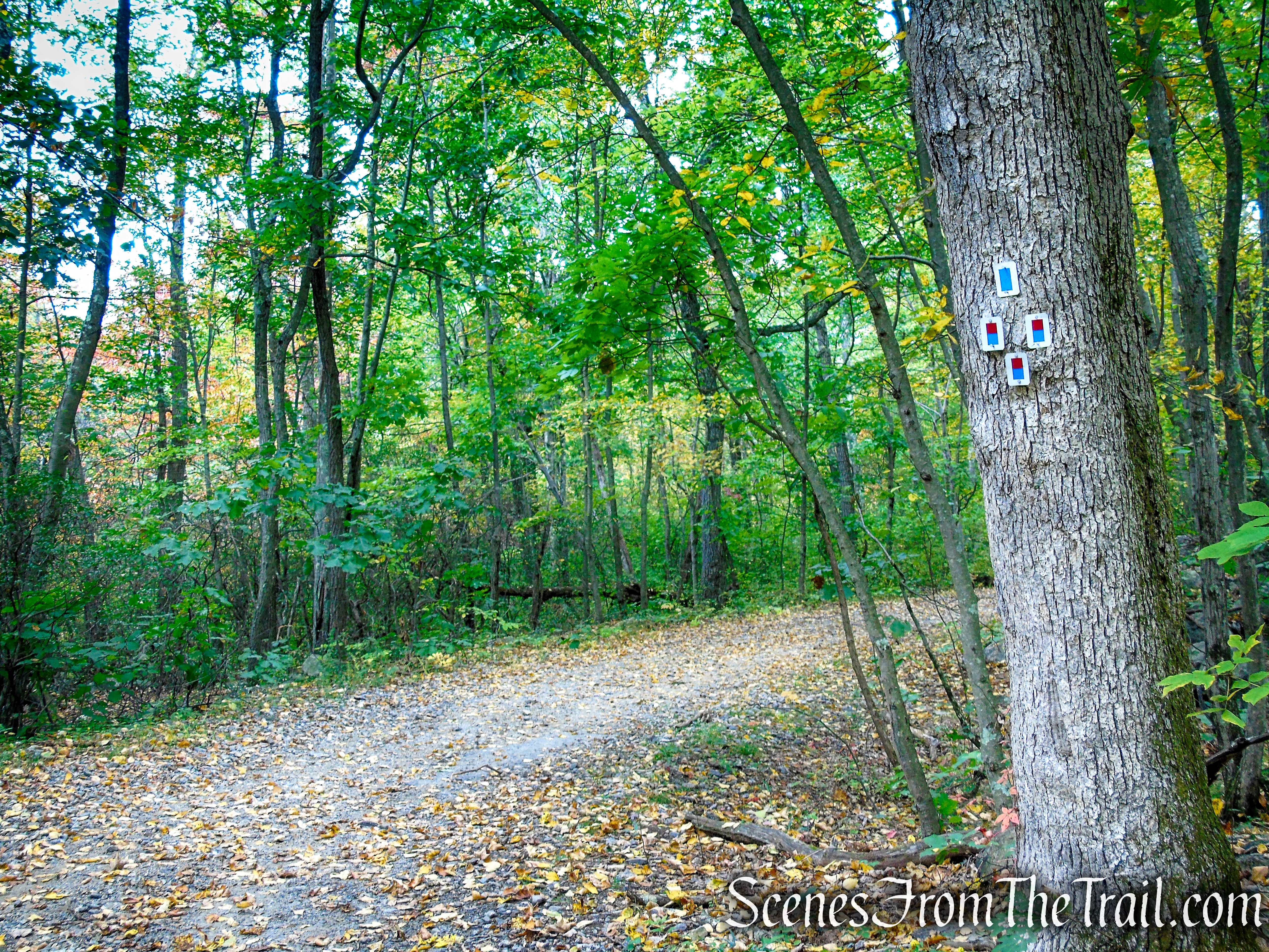 Ramapo Lake Loop - Ramapo Mountain State Forest
