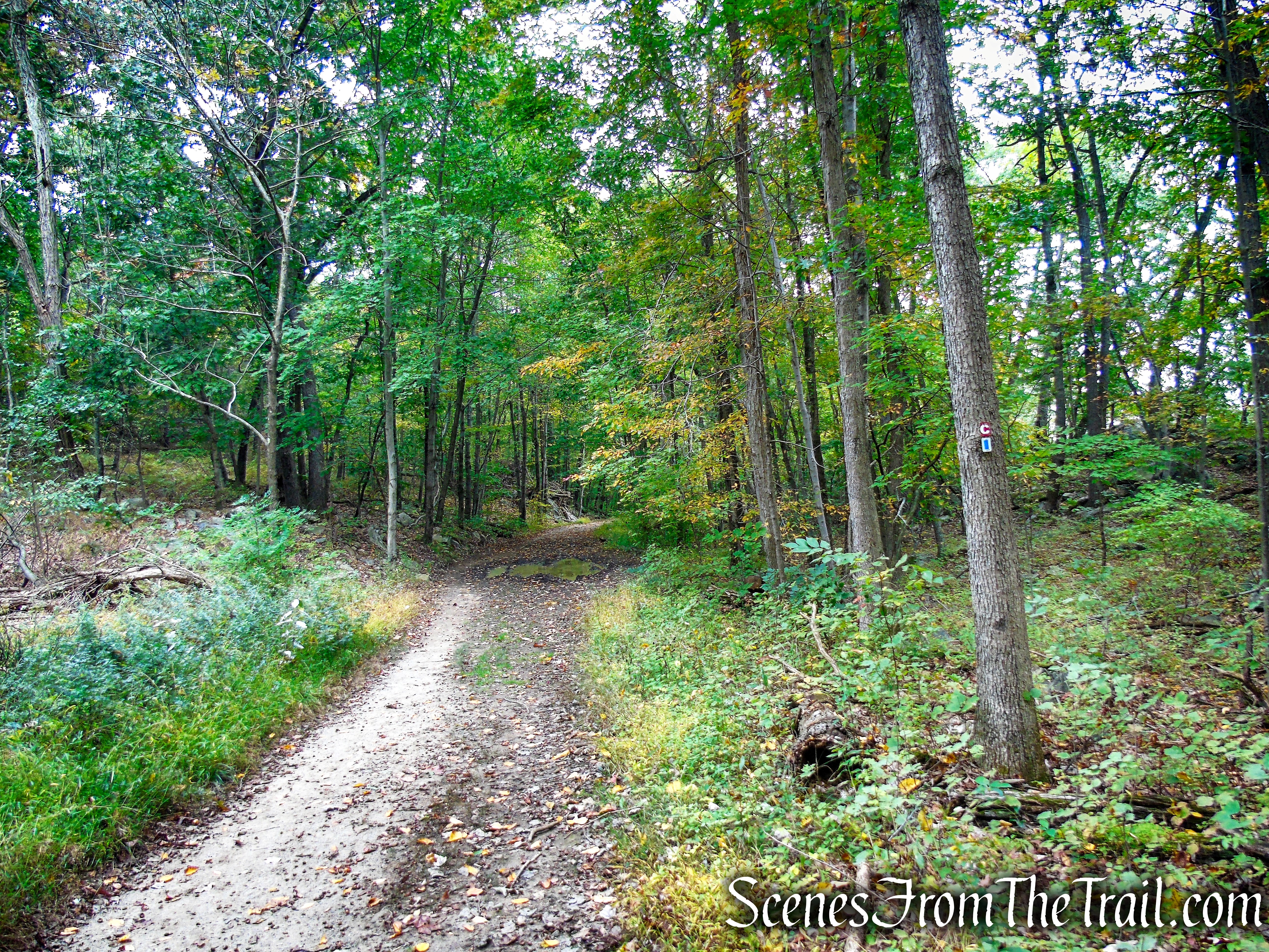 Ramapo Lake Loop - Ramapo Mountain State Forest
