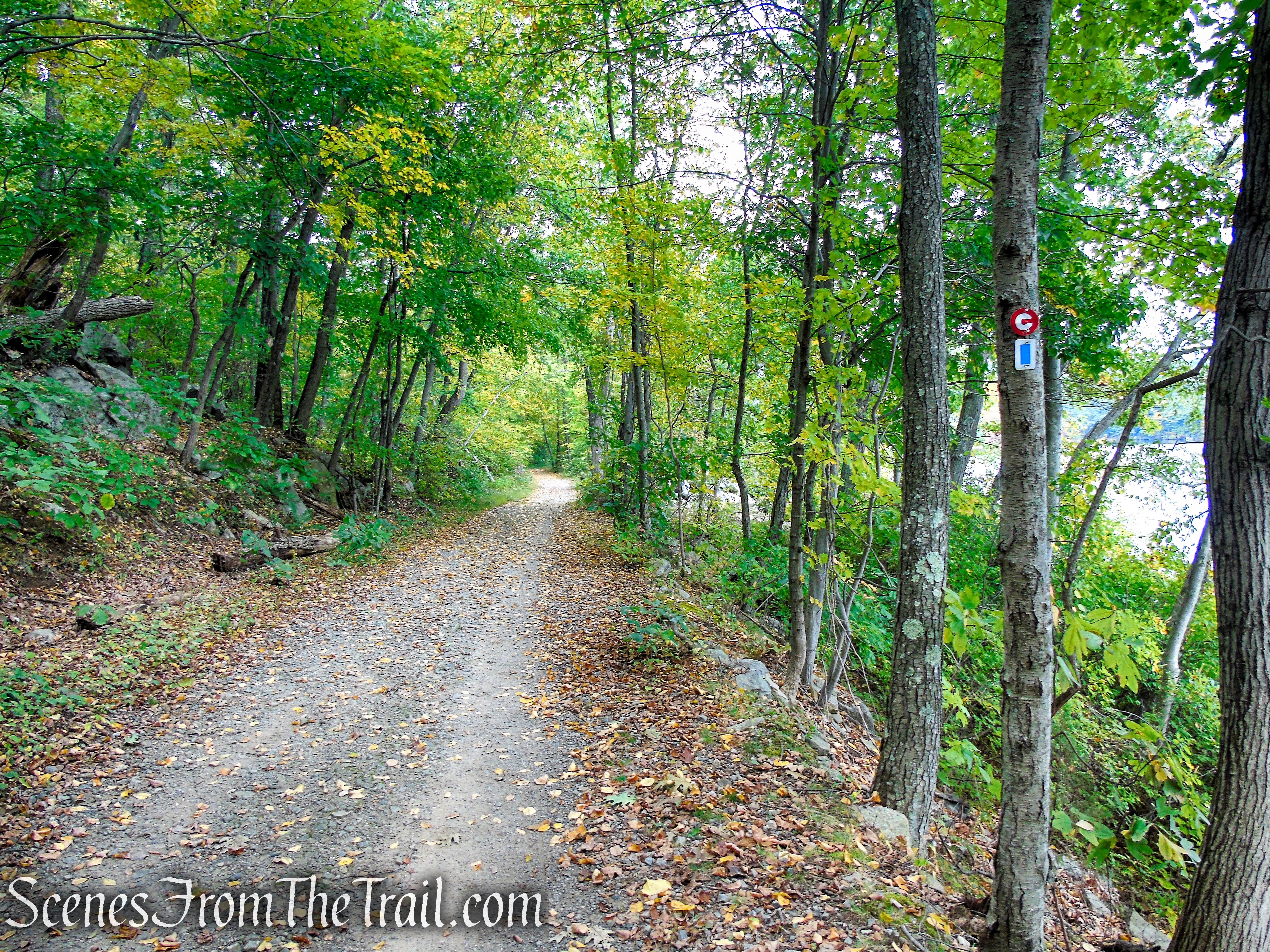 Ramapo Lake Loop - Ramapo Mountain State Forest