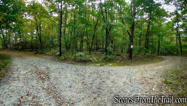 Ramapo Lake Loop - Ramapo Mountain State Forest