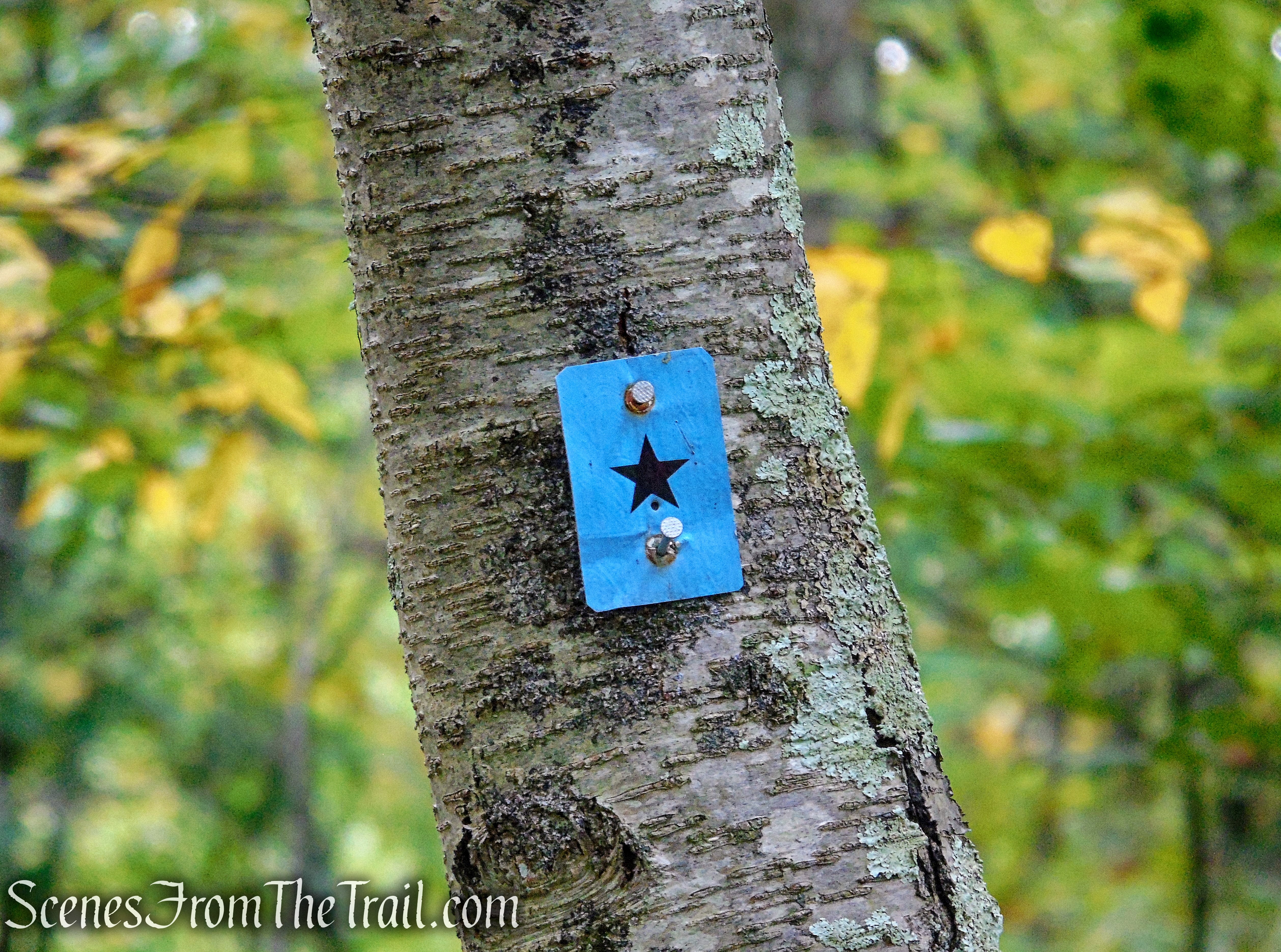 Ramapo Lake Loop - Ramapo Mountain State Forest