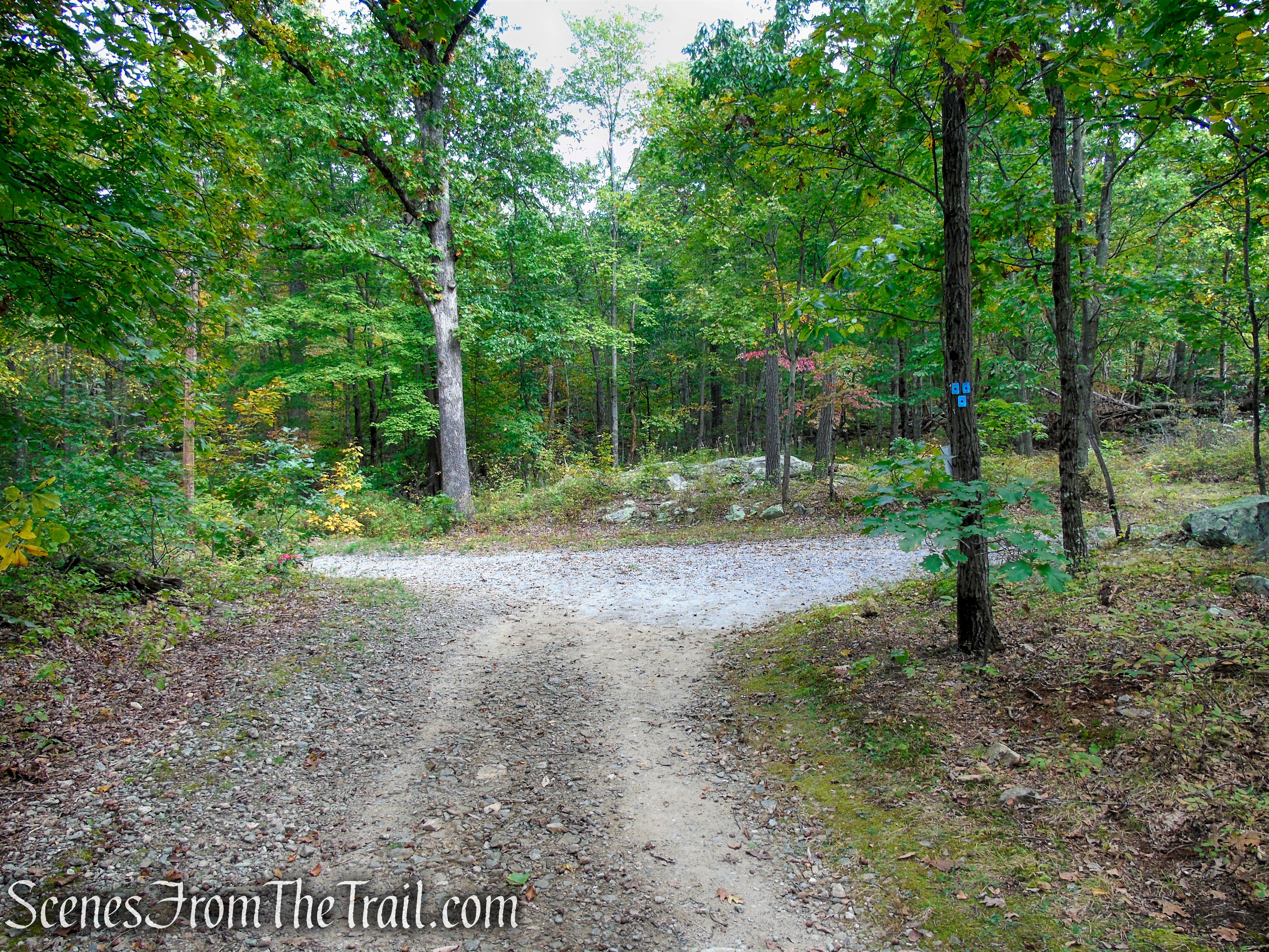 Ramapo Lake Loop - Ramapo Mountain State Forest