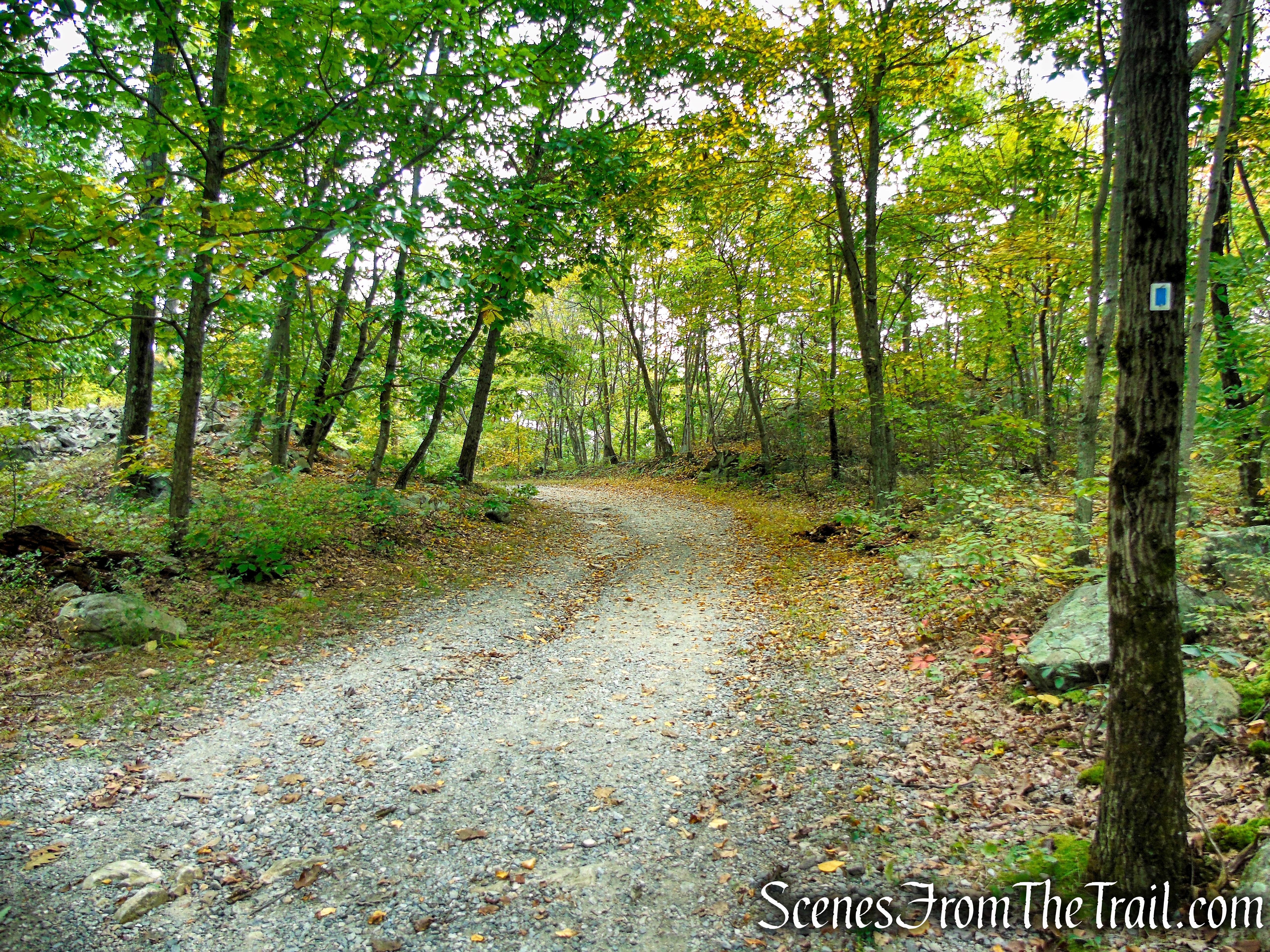 Ramapo Lake Loop - Ramapo Mountain State Forest