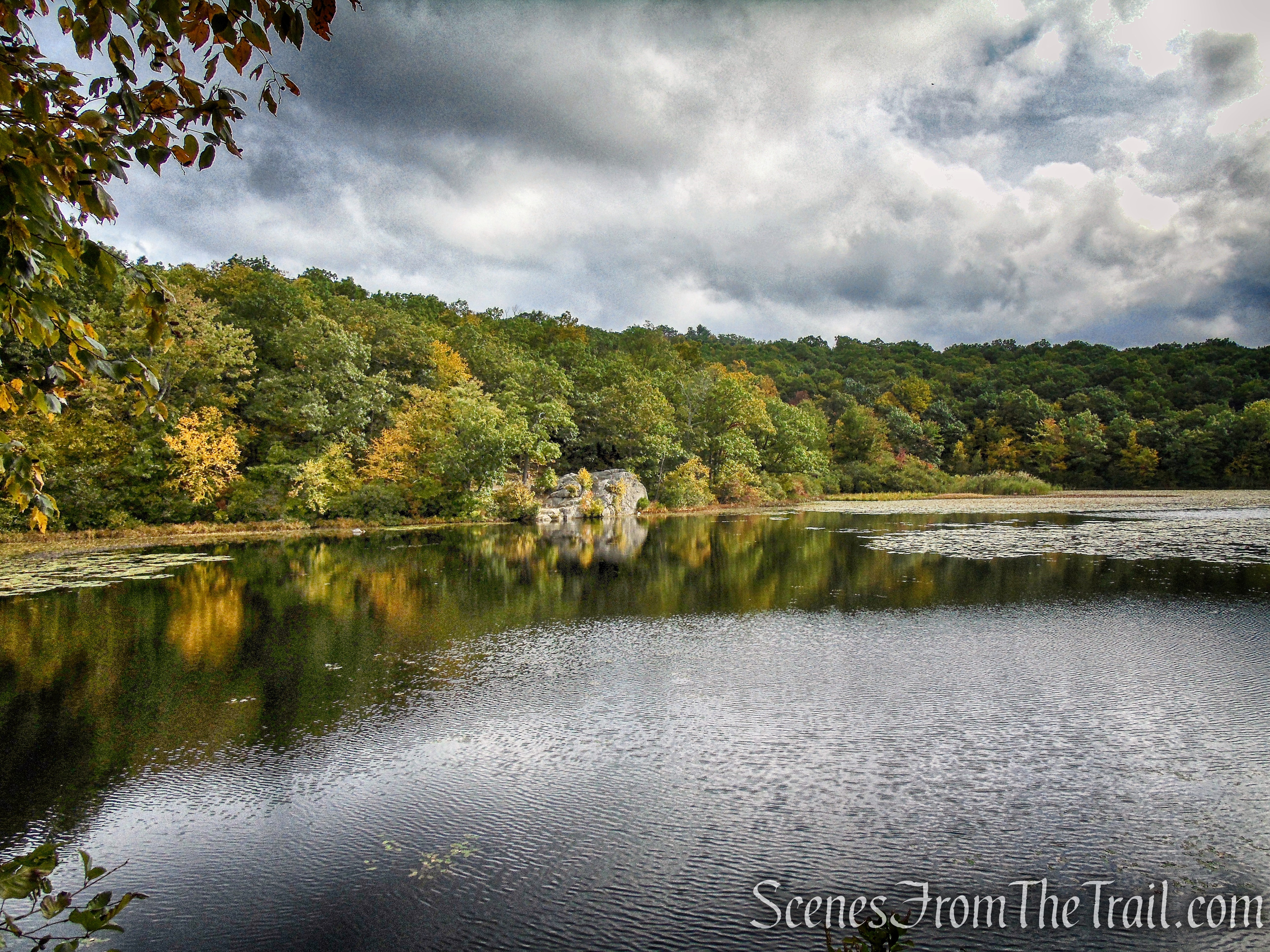 Ramapo Lake Loop - Ramapo Mountain State Forest