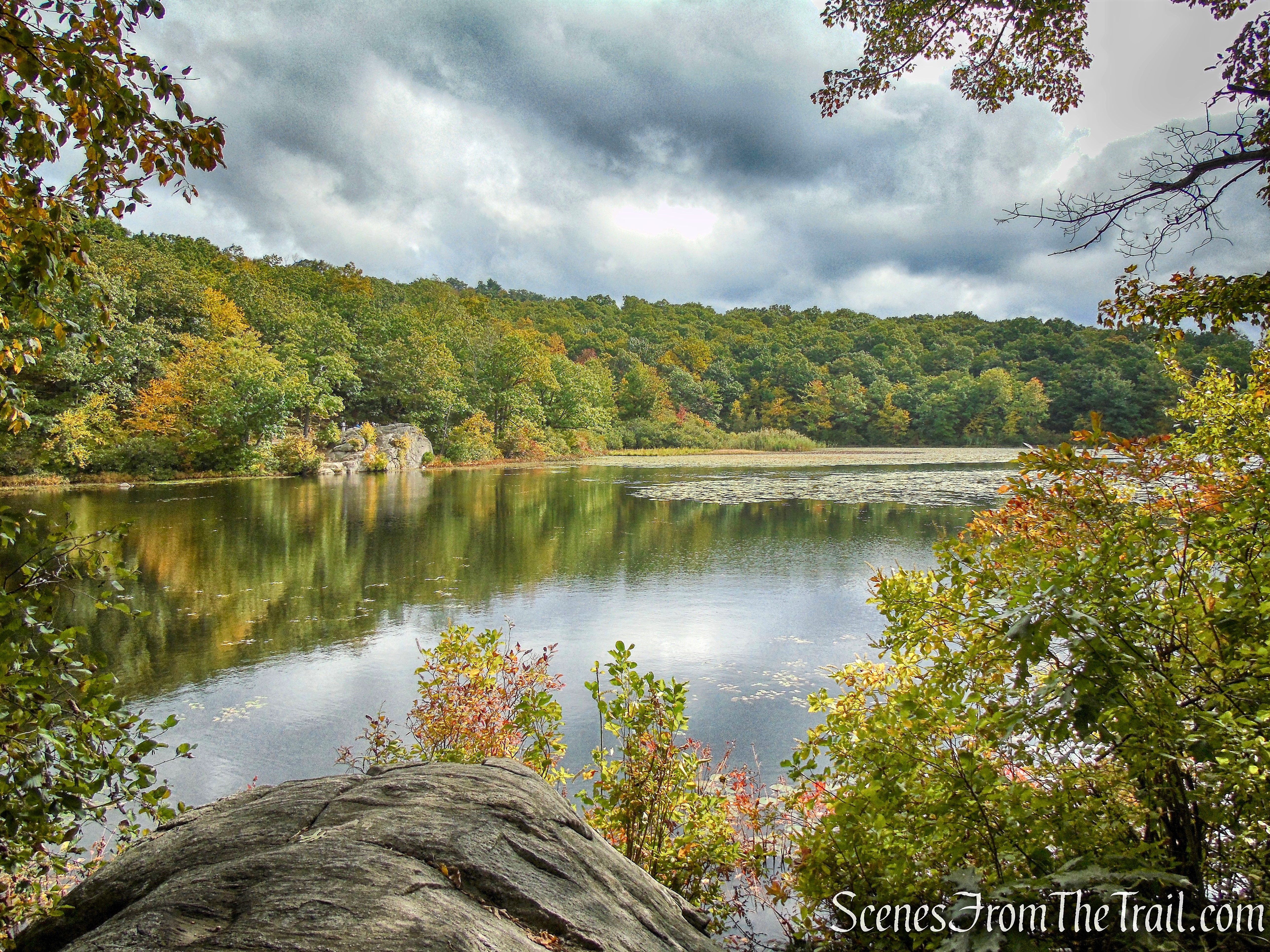 Ramapo Lake Loop - Ramapo Mountain State Forest